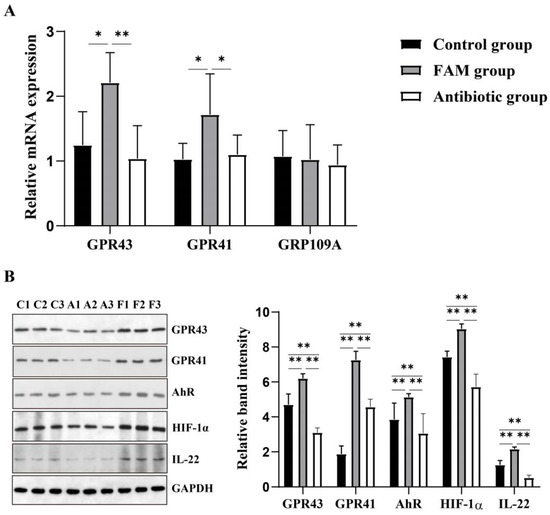 Nutrients 14 04475 g006 550