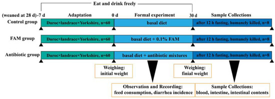 Nutrients 14 04475 sch001 550