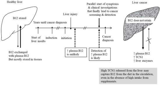 High Plasma Vitamin B12 and Cancer in Human Studies: A Scoping Review to Judge Causality and Alternative Explanations
