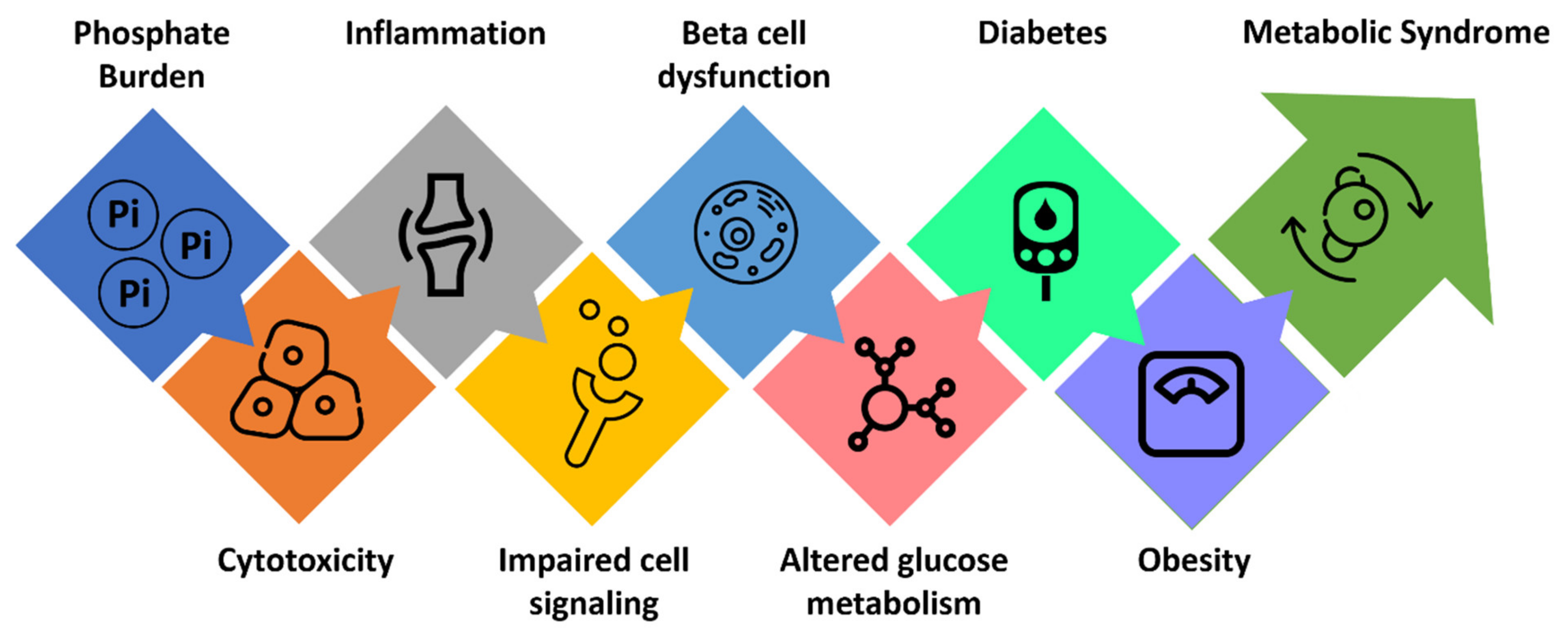 Nutrients 14 04477 g002 Nutrients 14 04477 g002