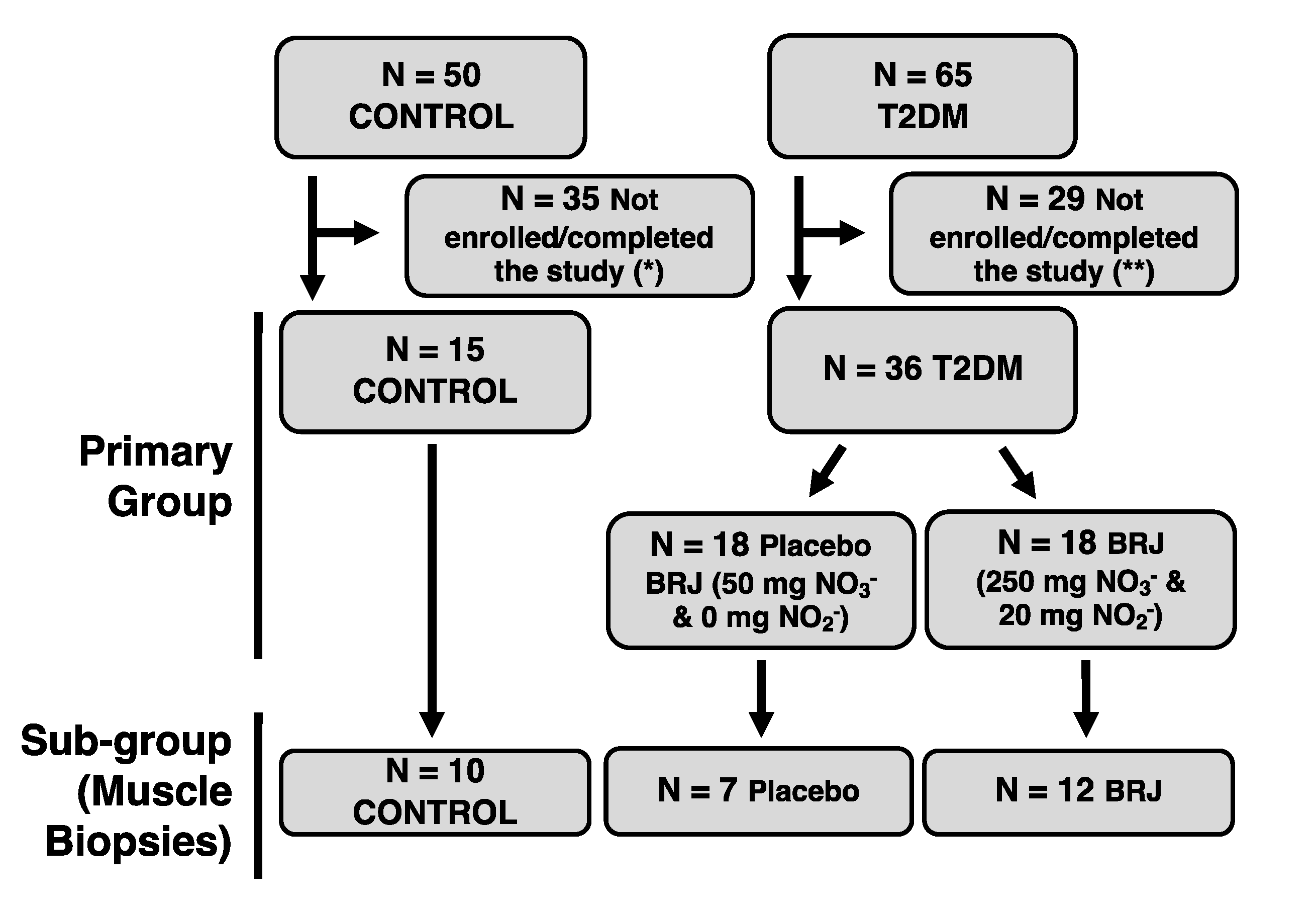 Nutrients 14 04479 g001 Nutrients 14 04479 g001