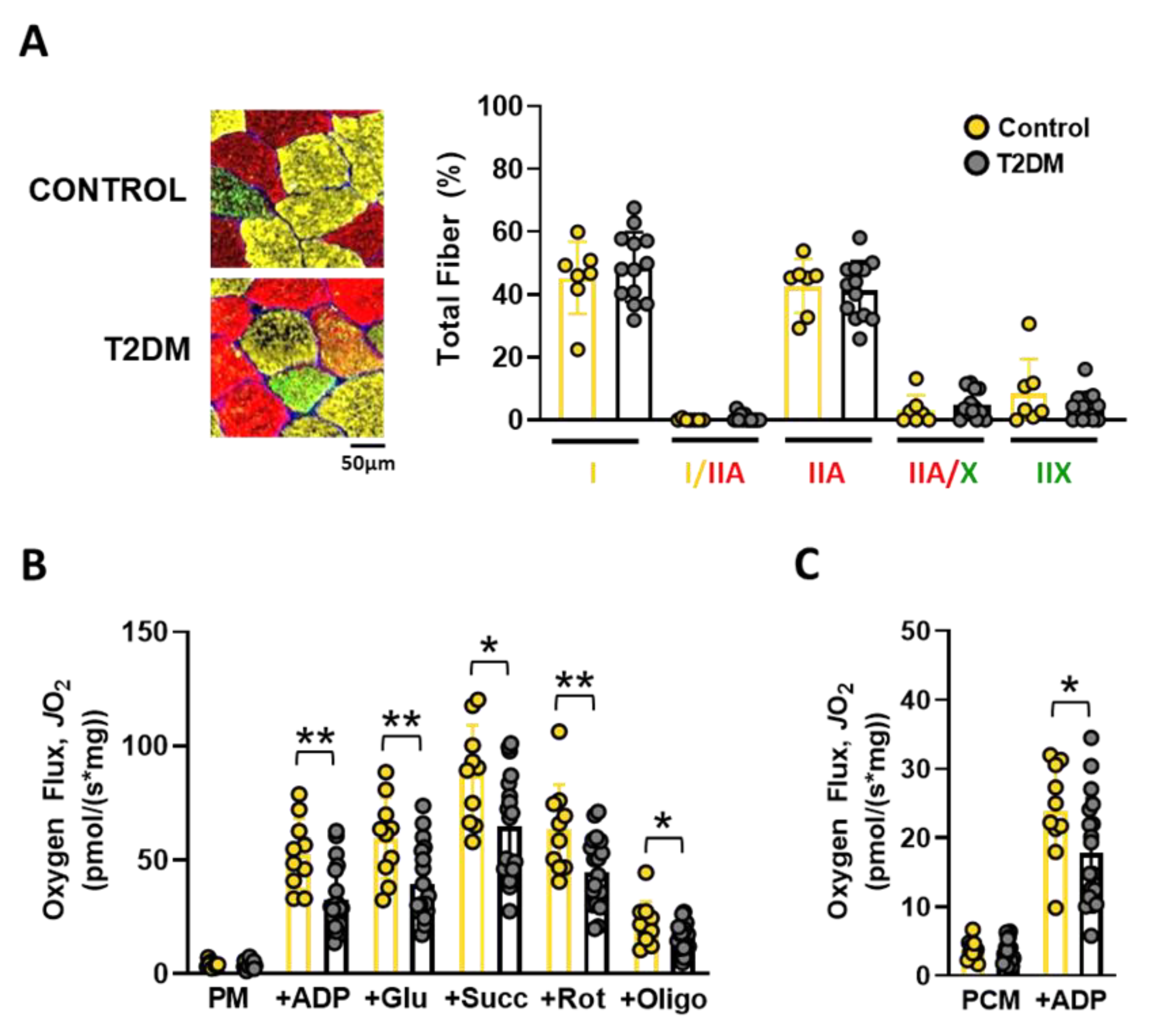 Nutrients 14 04479 g002 Nutrients 14 04479 g002