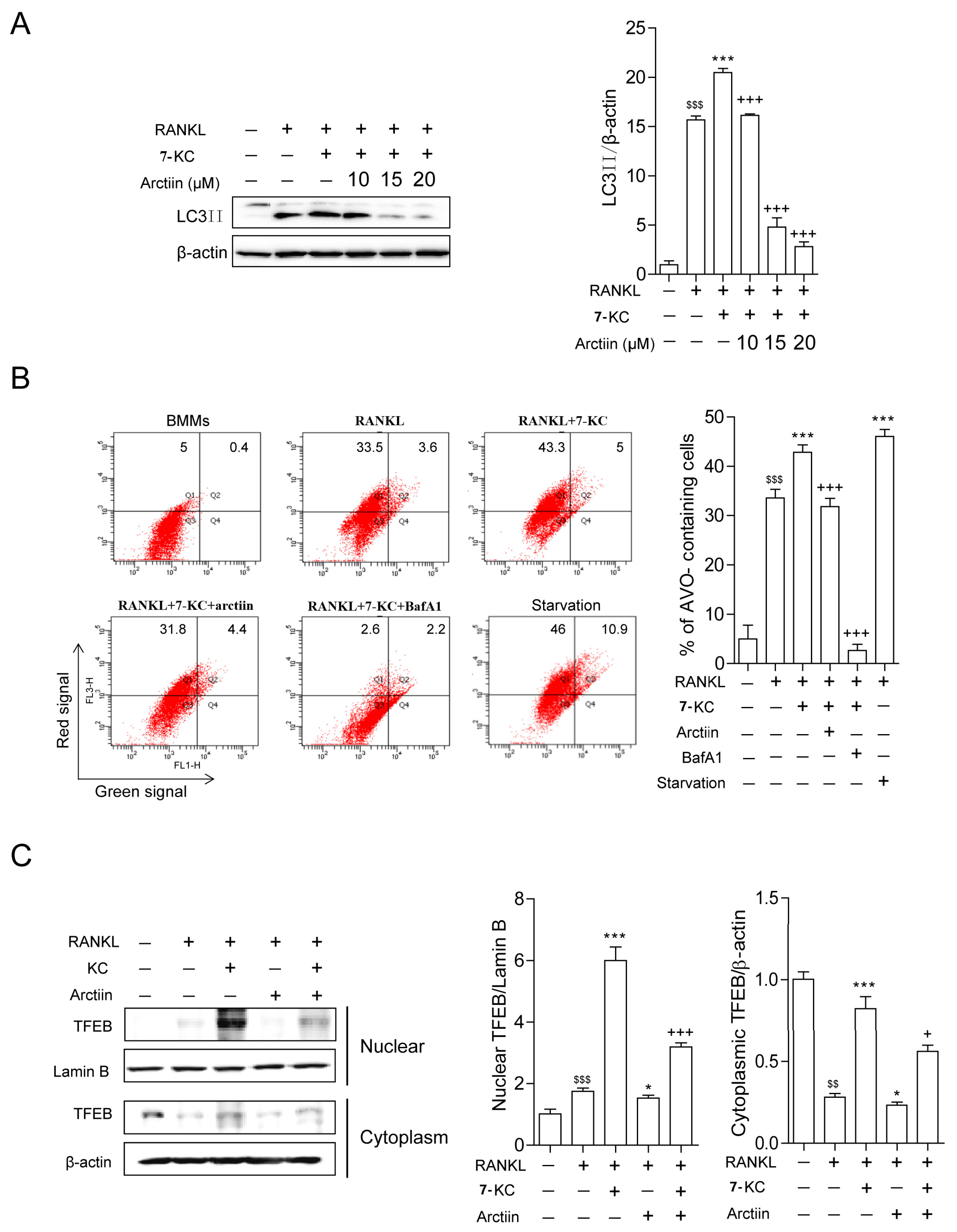 Nutrients 14 04483 g003 Nutrients 14 04483 g003