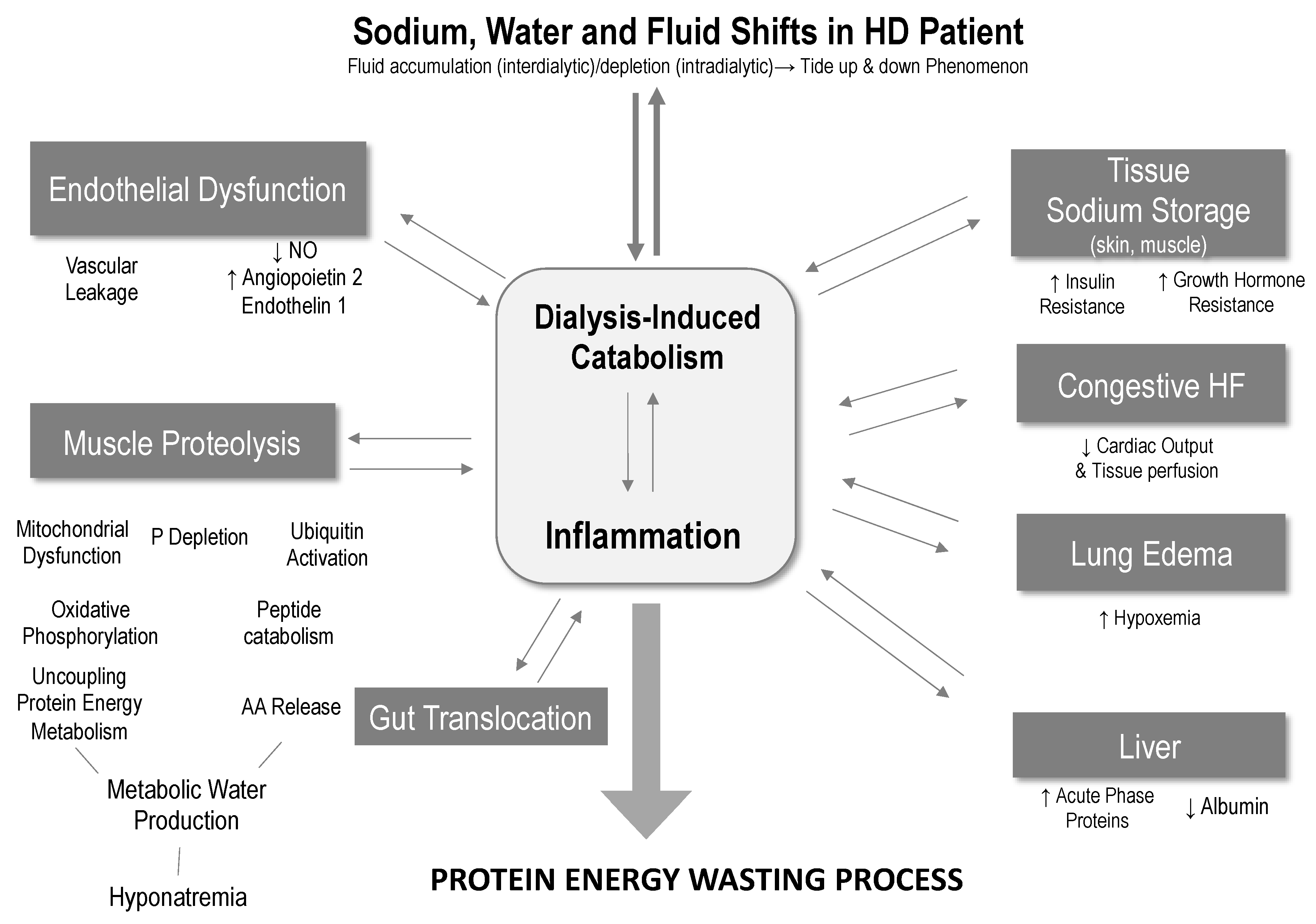 Nutrients Free FullText Fluid Overload and Tissue Sodium Accumulation as Main Drivers of