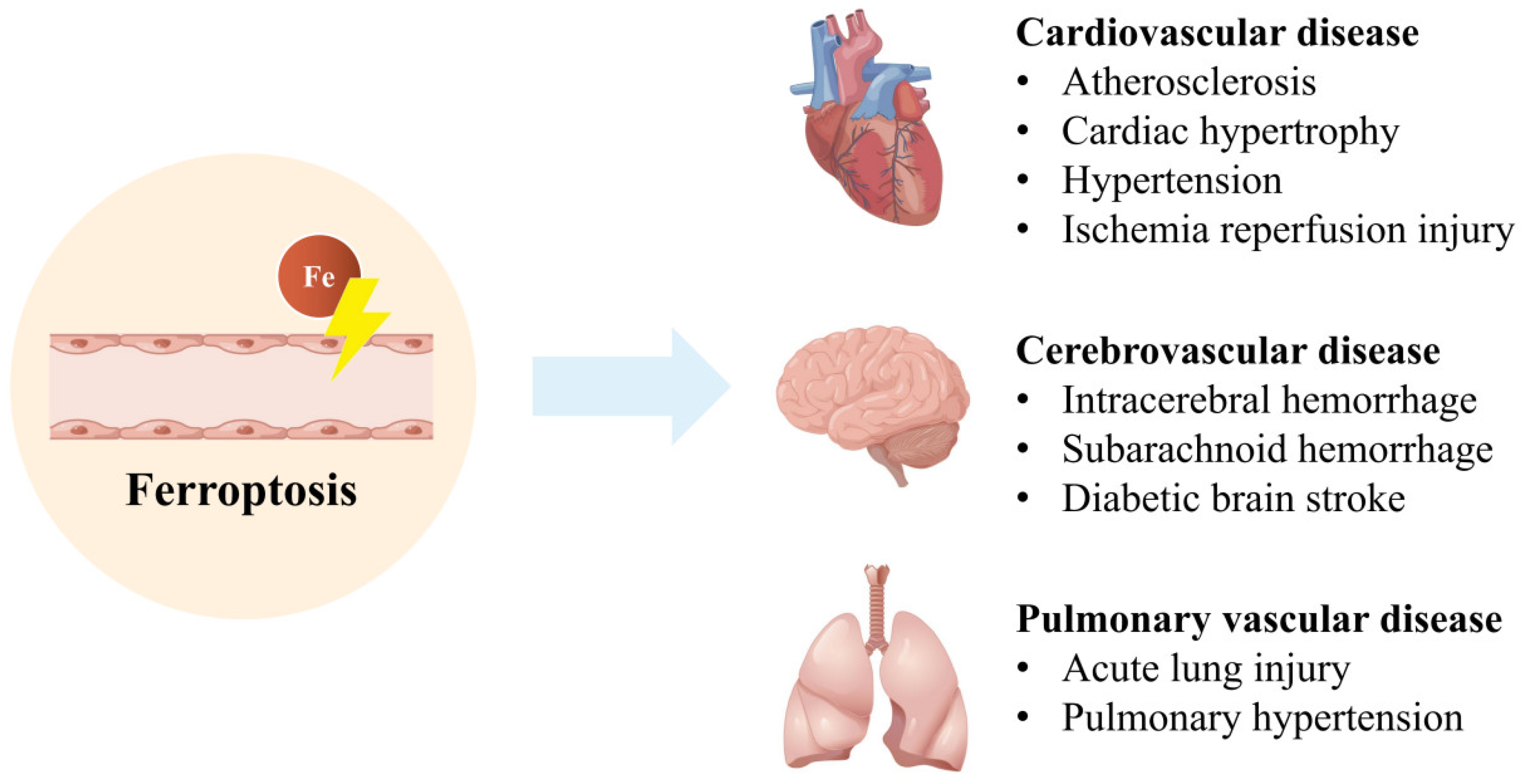Nutrients 14 04506 g002 Nutrients 14 04506 g002