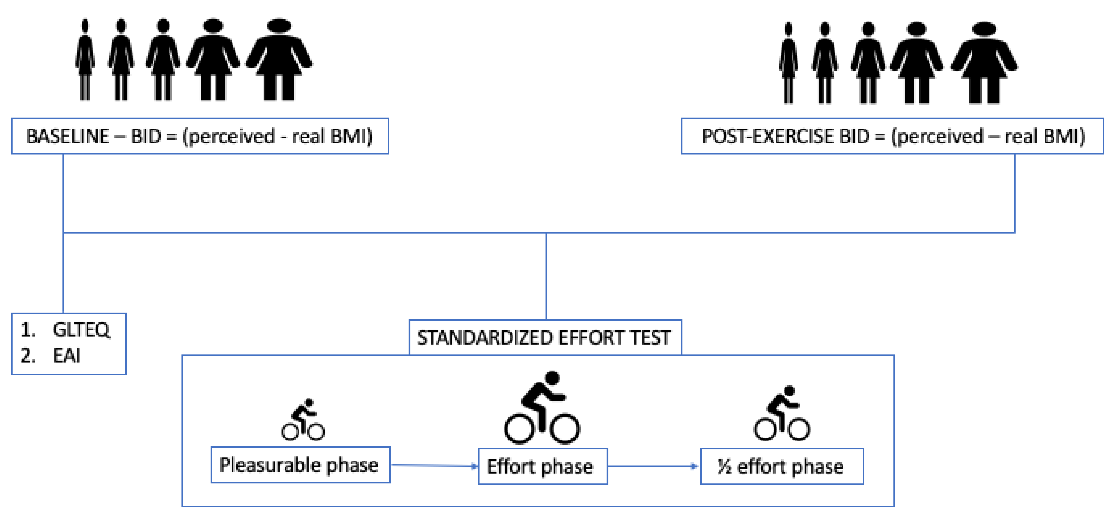 Nutrients 14 04507 g001 Nutrients 14 04507 g001