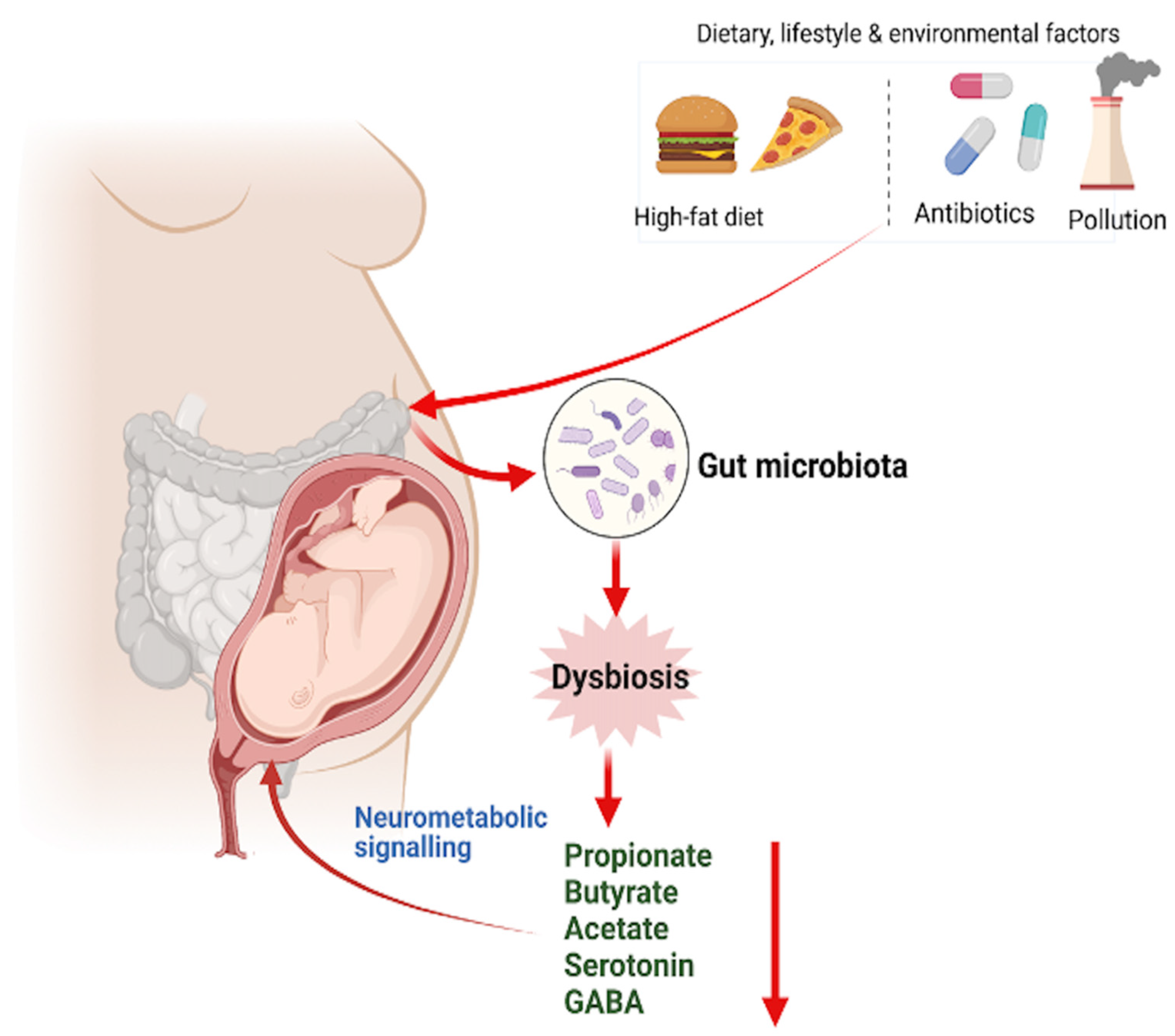 Nutrients 14 04515 g002