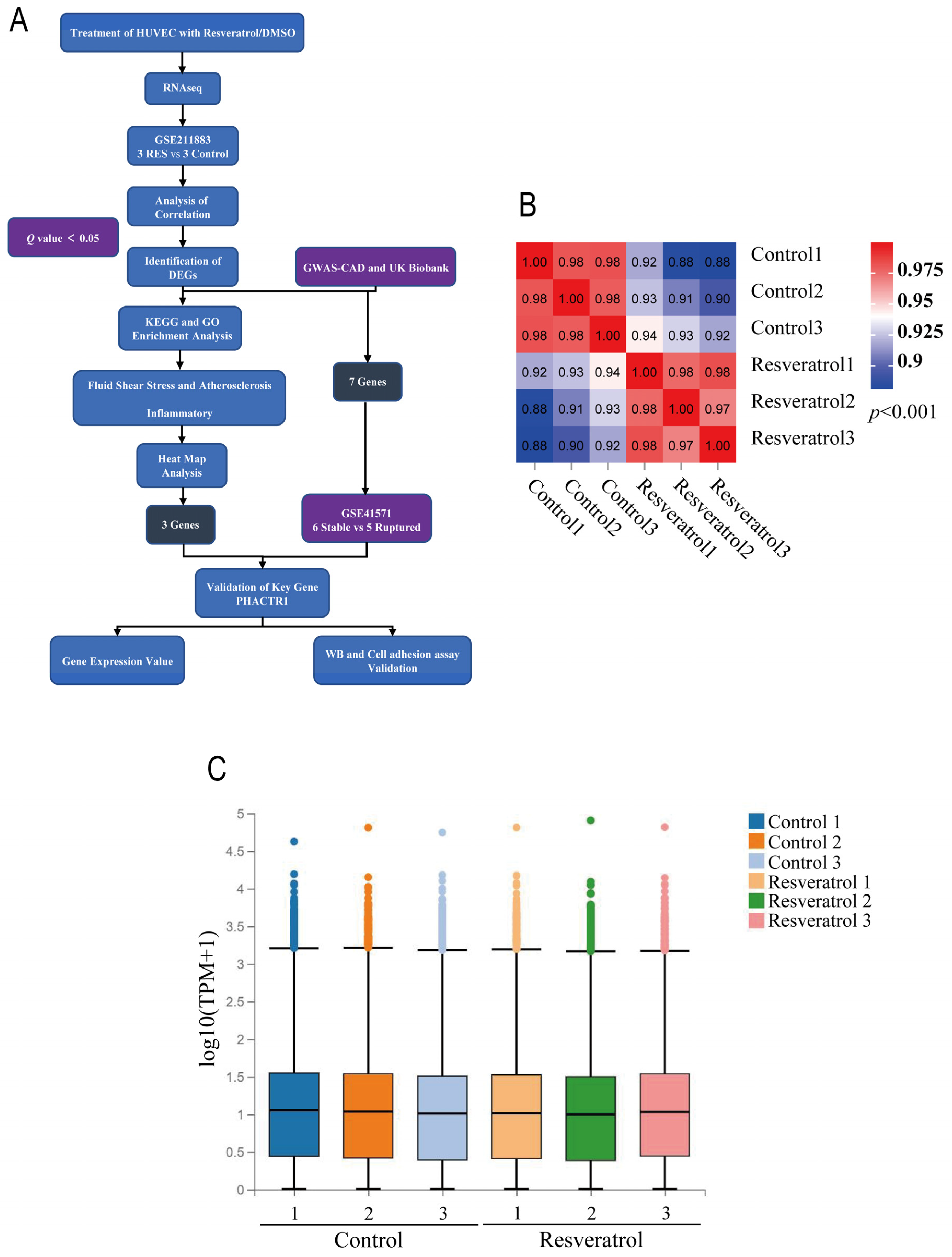 Nutrients 14 04518 g001a Nutrients 14 04518 g001a