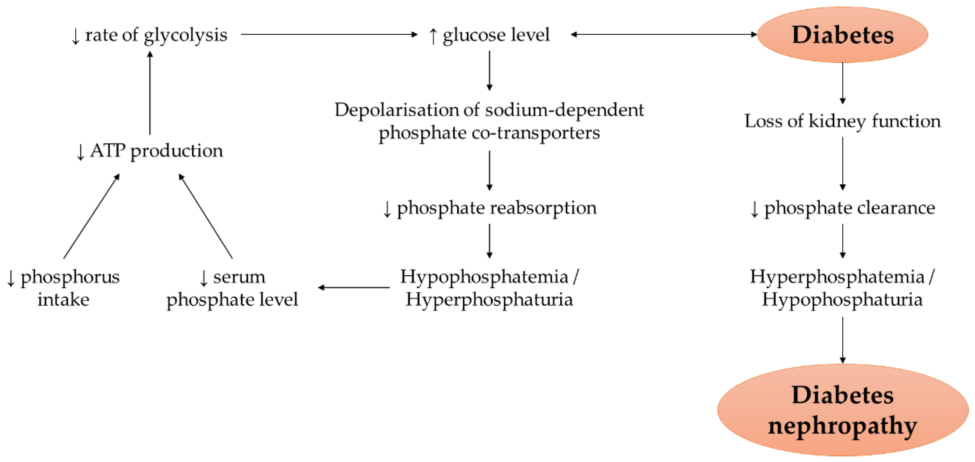 Nutrients 14 04525 g002 Nutrients 14 04525 g002