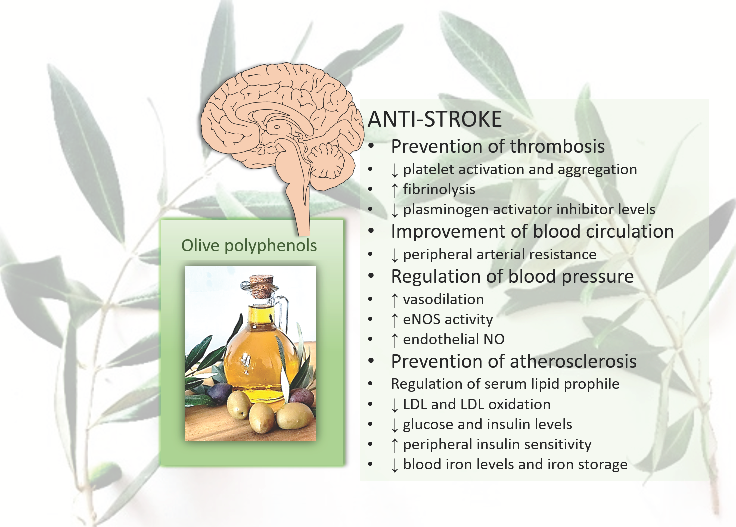 Nutrients 14 04533 g002 Nutrients 14 04533 g002
