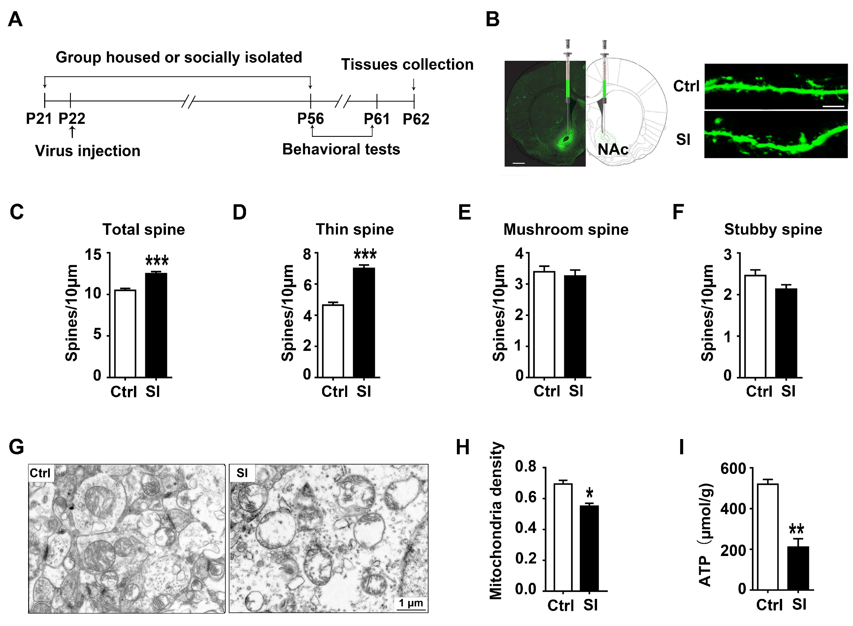 Nutrients 14 04542 g002 Nutrients 14 04542 g002