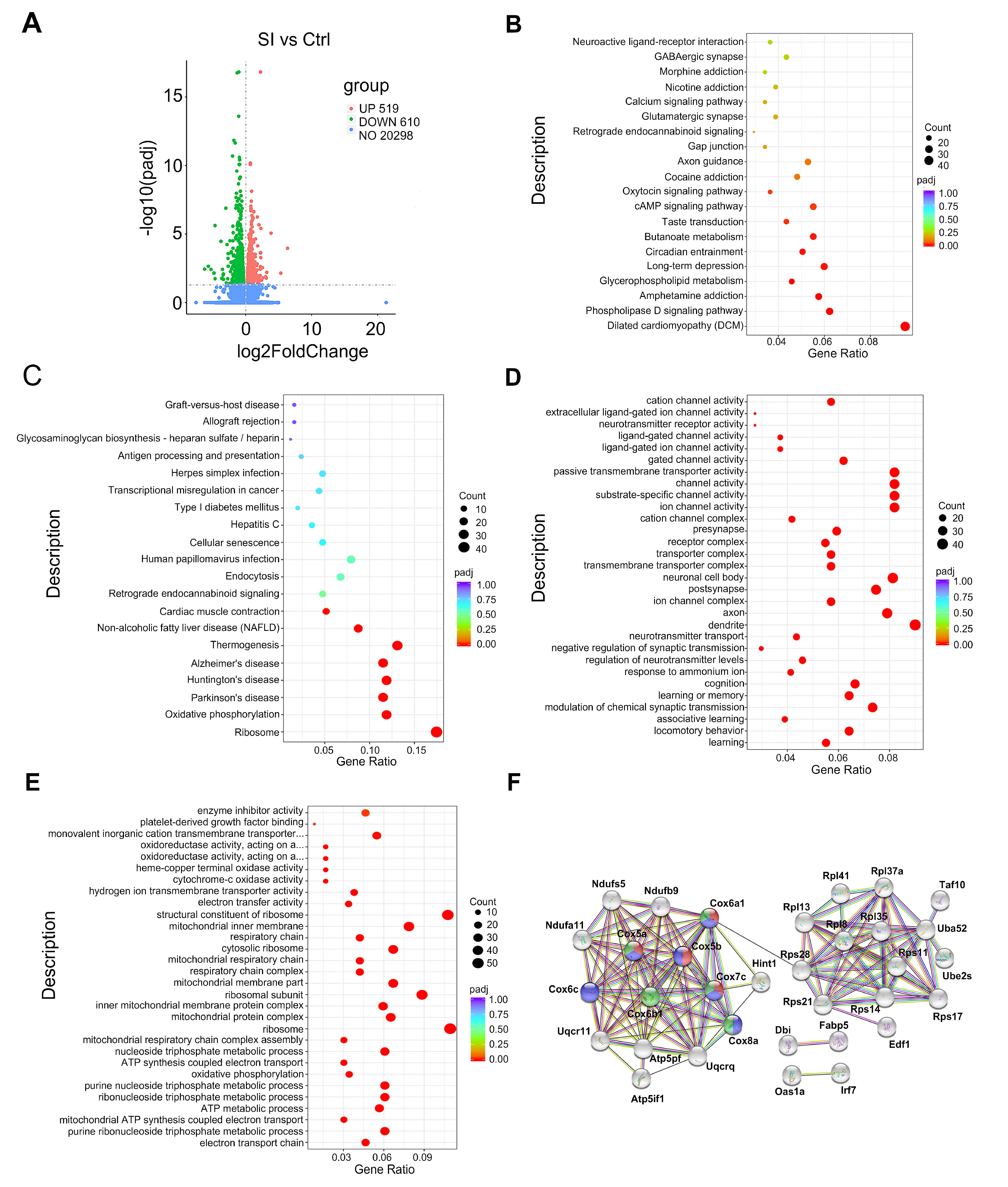 Nutrients 14 04542 g003 Nutrients 14 04542 g003