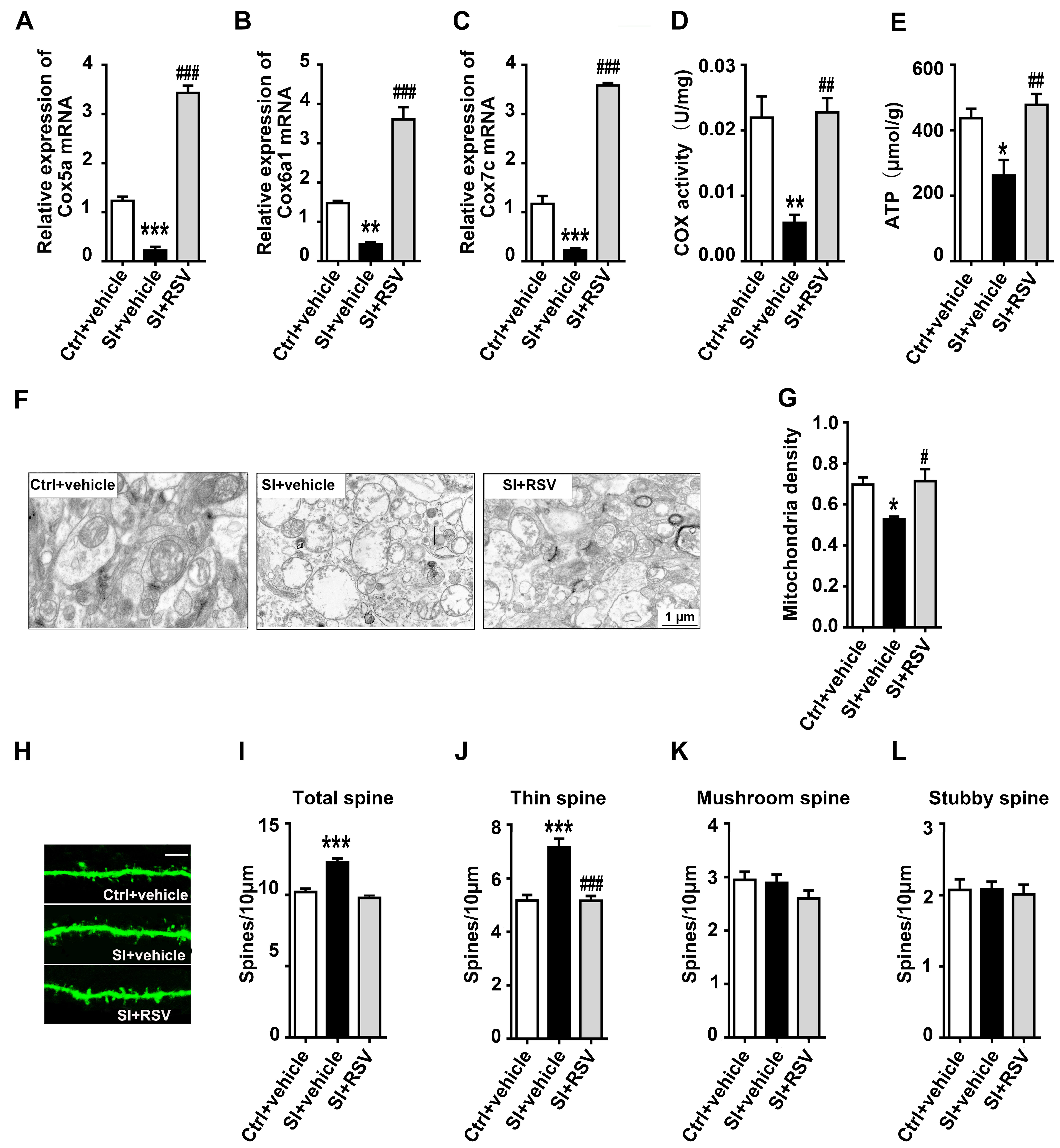 Nutrients 14 04542 g005 Nutrients 14 04542 g005