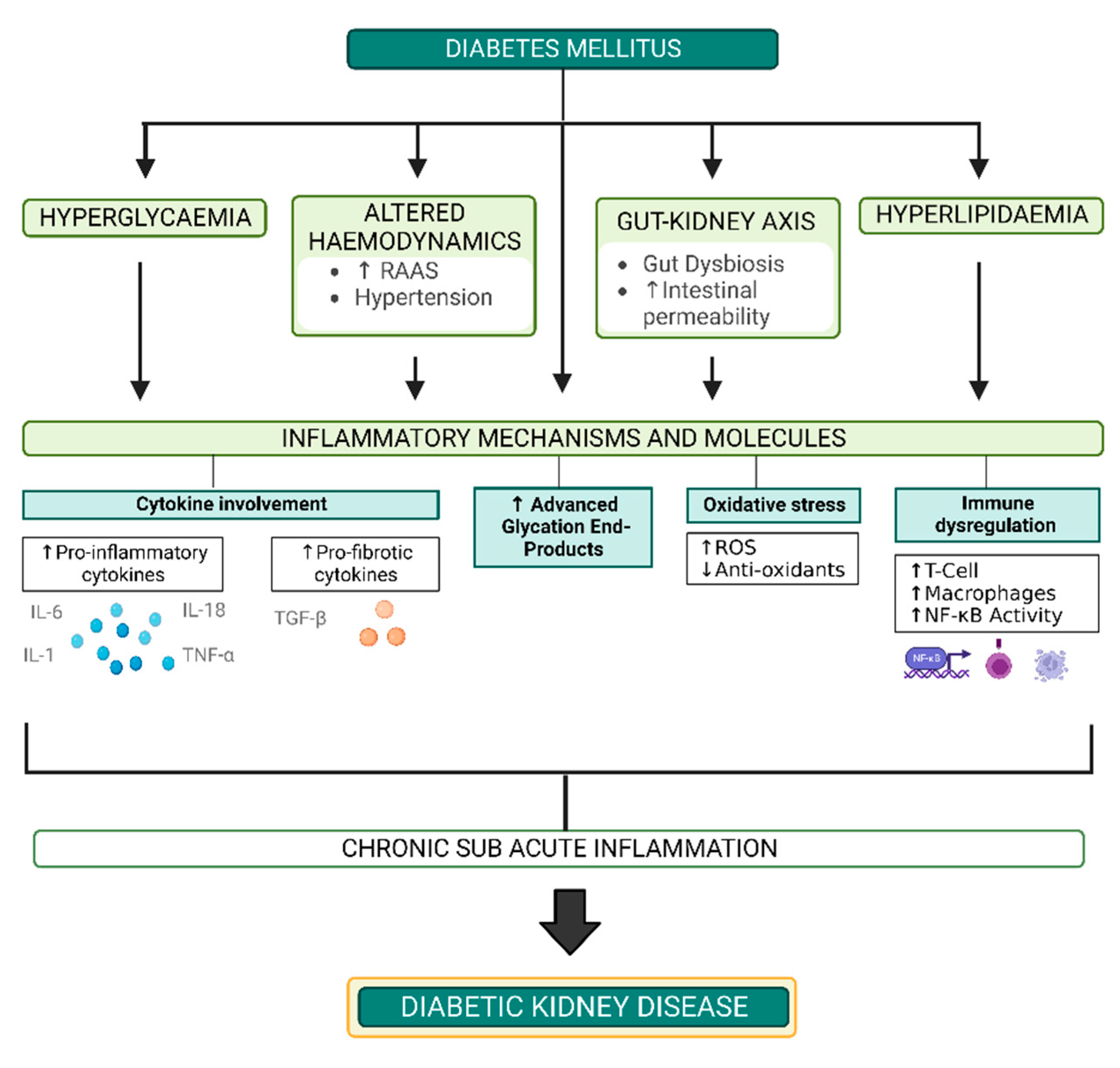 Nutrients 14 04547 g002 Nutrients 14 04547 g002