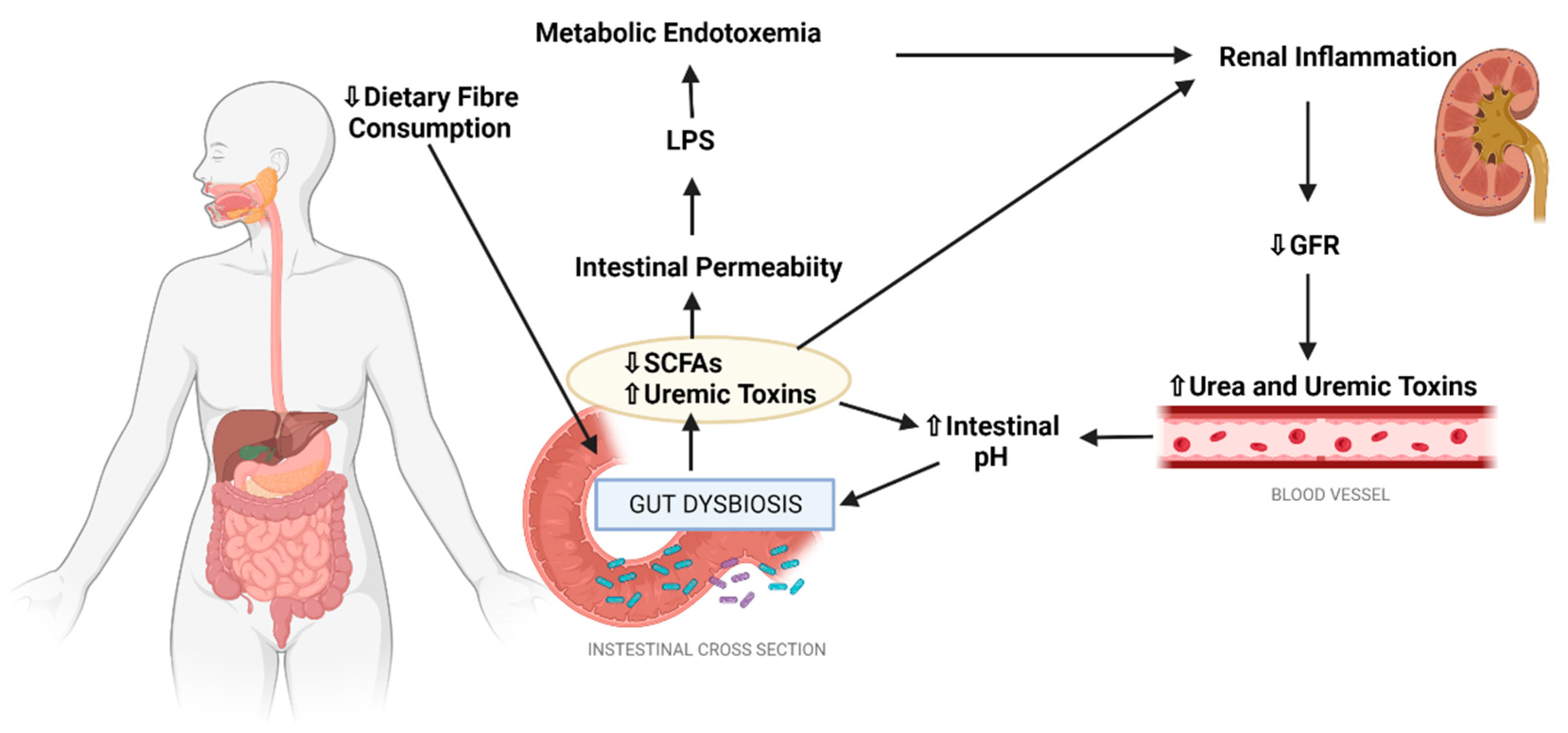 Nutrients 14 04547 g003 Nutrients 14 04547 g003