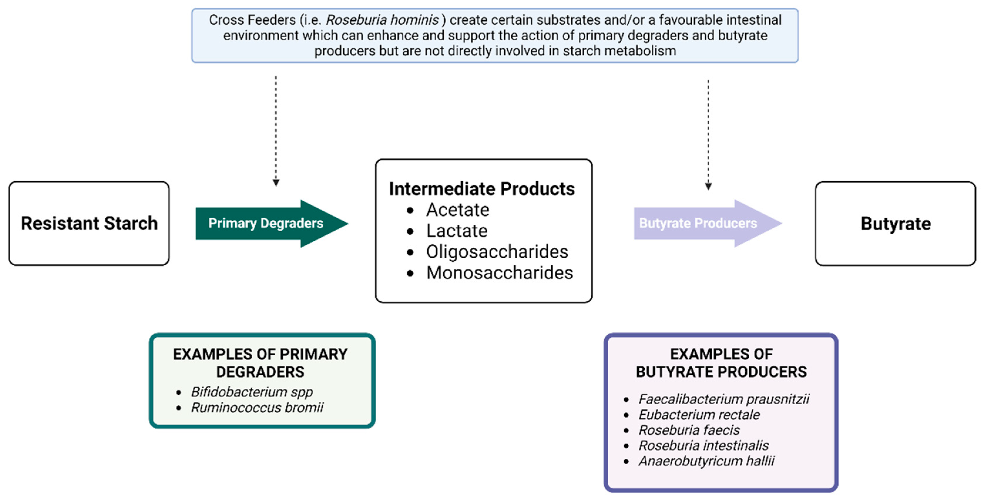Nutrients 14 04547 g005 Nutrients 14 04547 g005