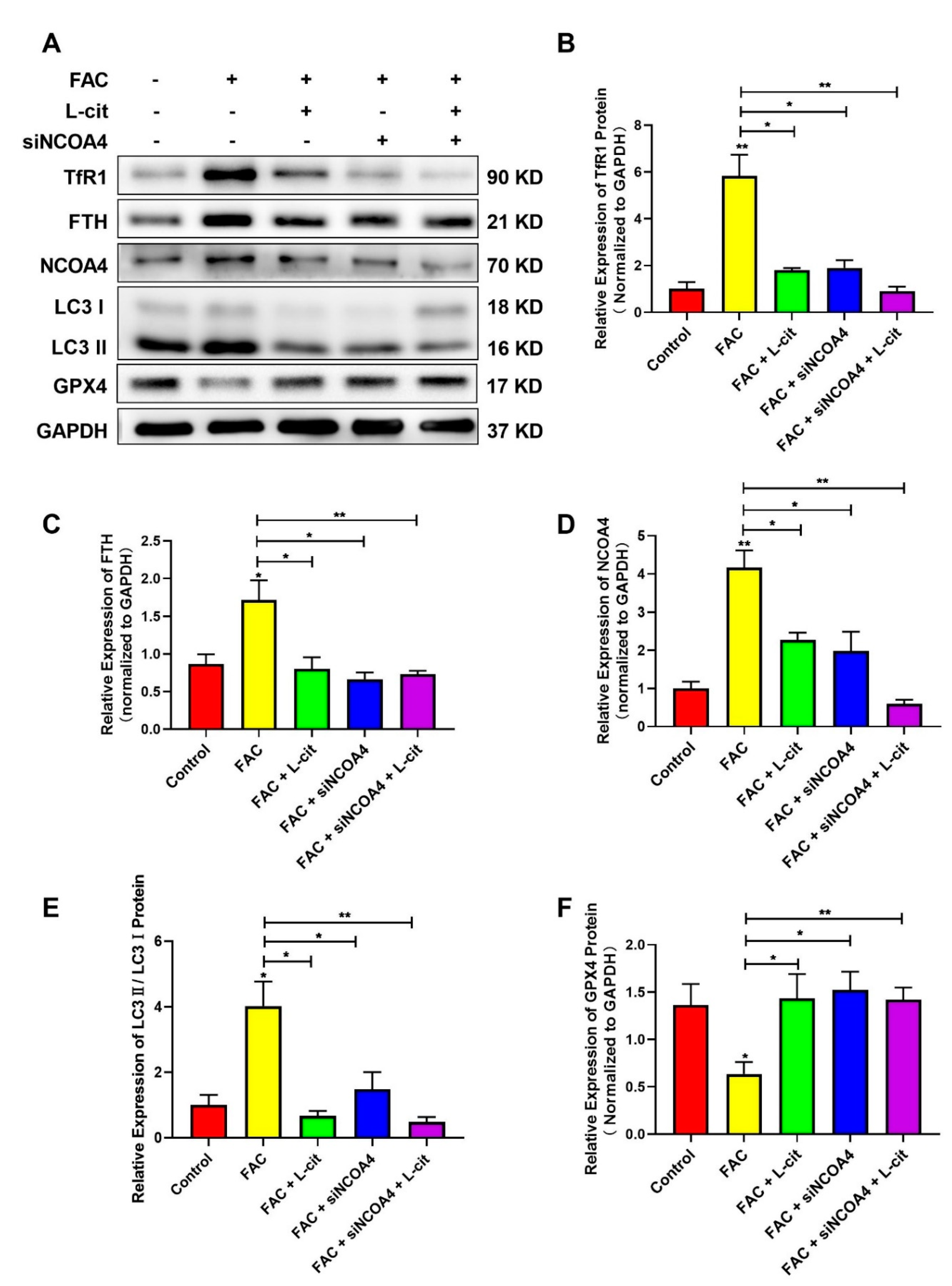 Nutrients 14 04549 g008 Nutrients 14 04549 g008