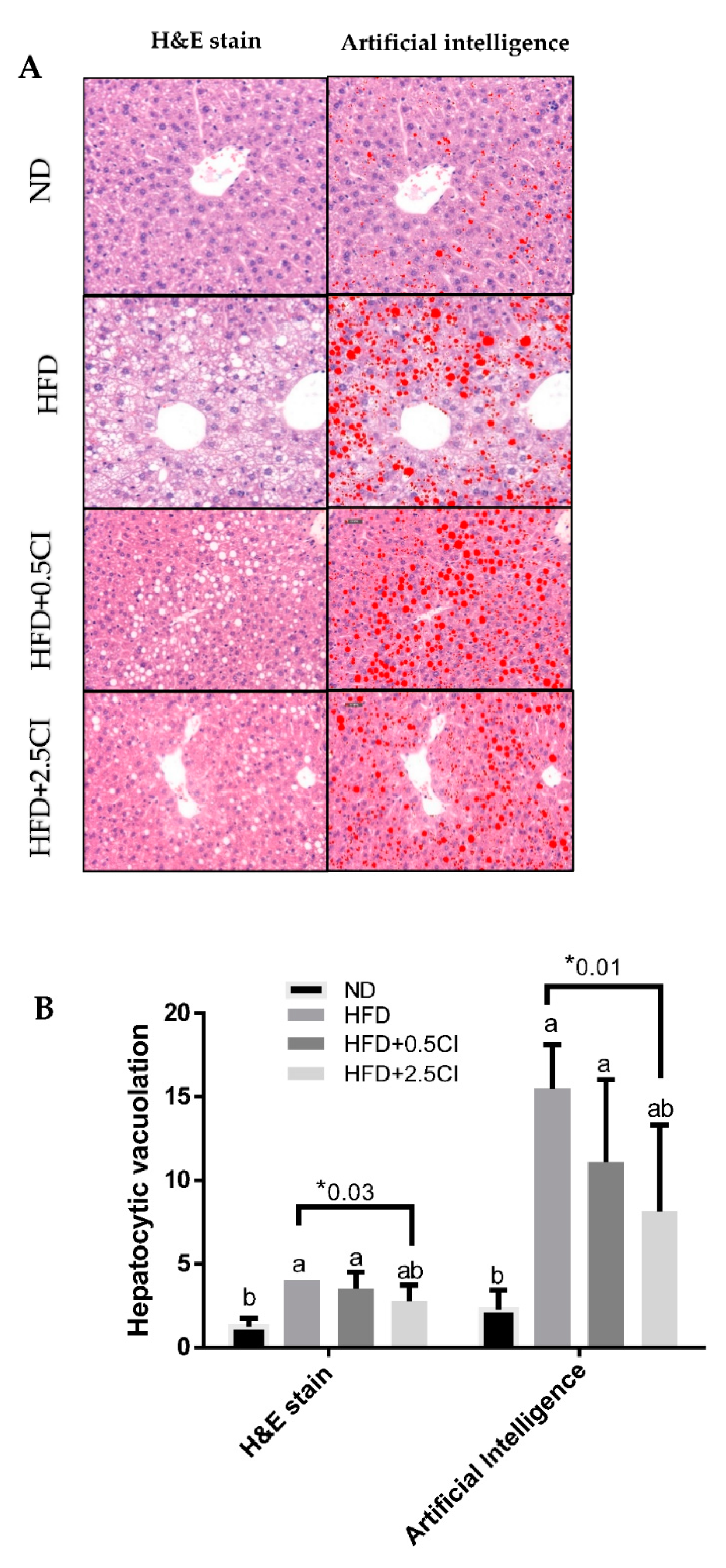 Nutrients 14 04552 g004 Nutrients 14 04552 g004