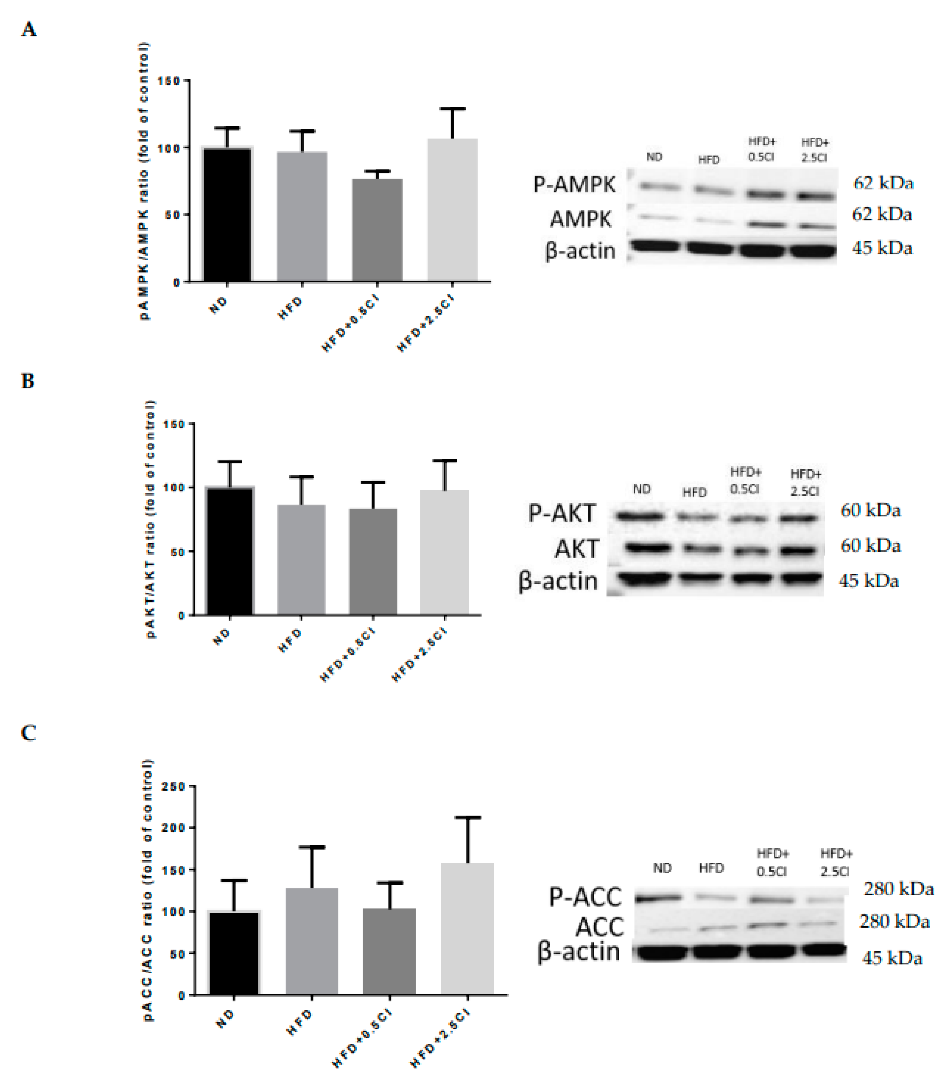 Nutrients 14 04552 g006 Nutrients 14 04552 g006