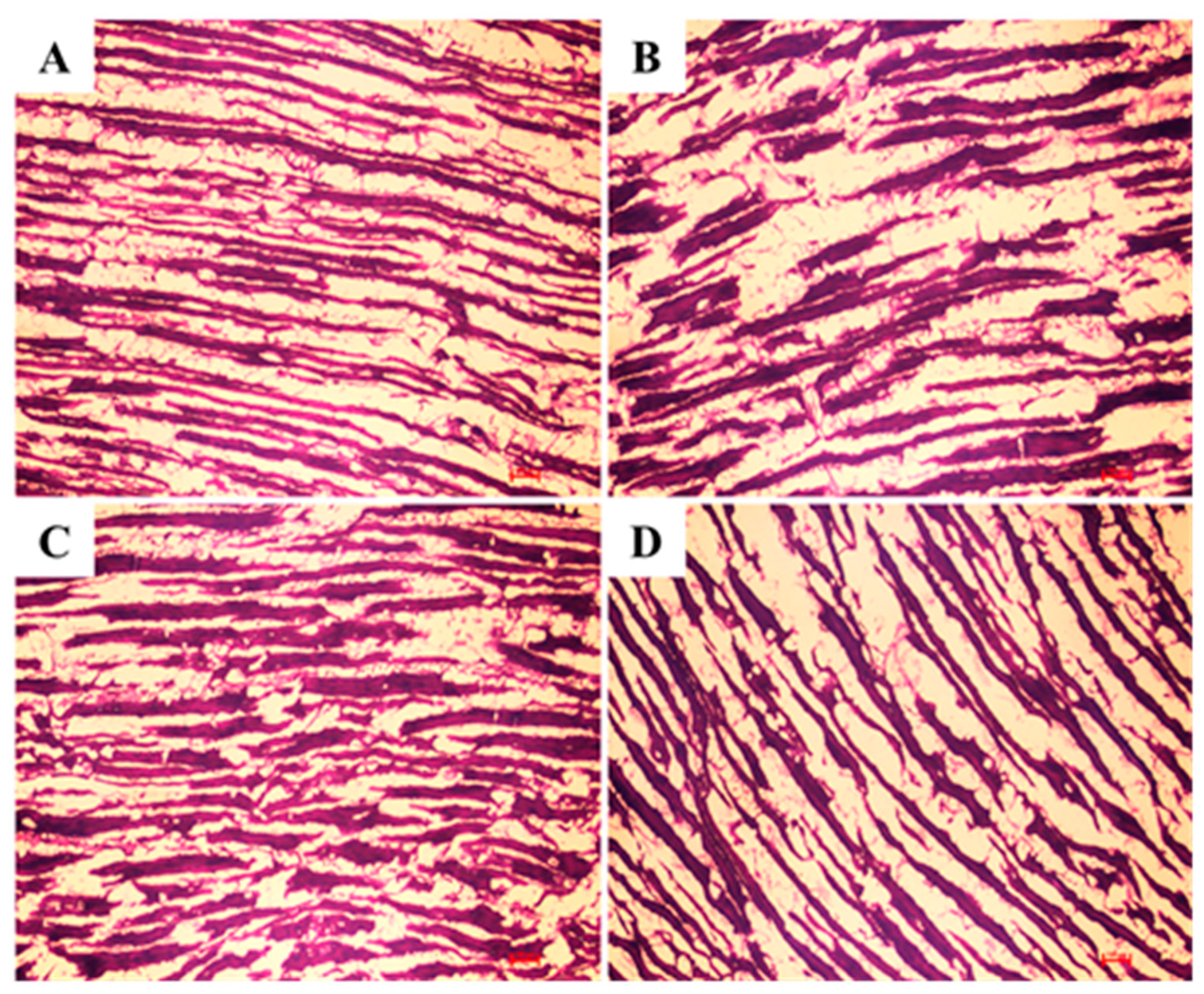Nutrients 14 04572 g006