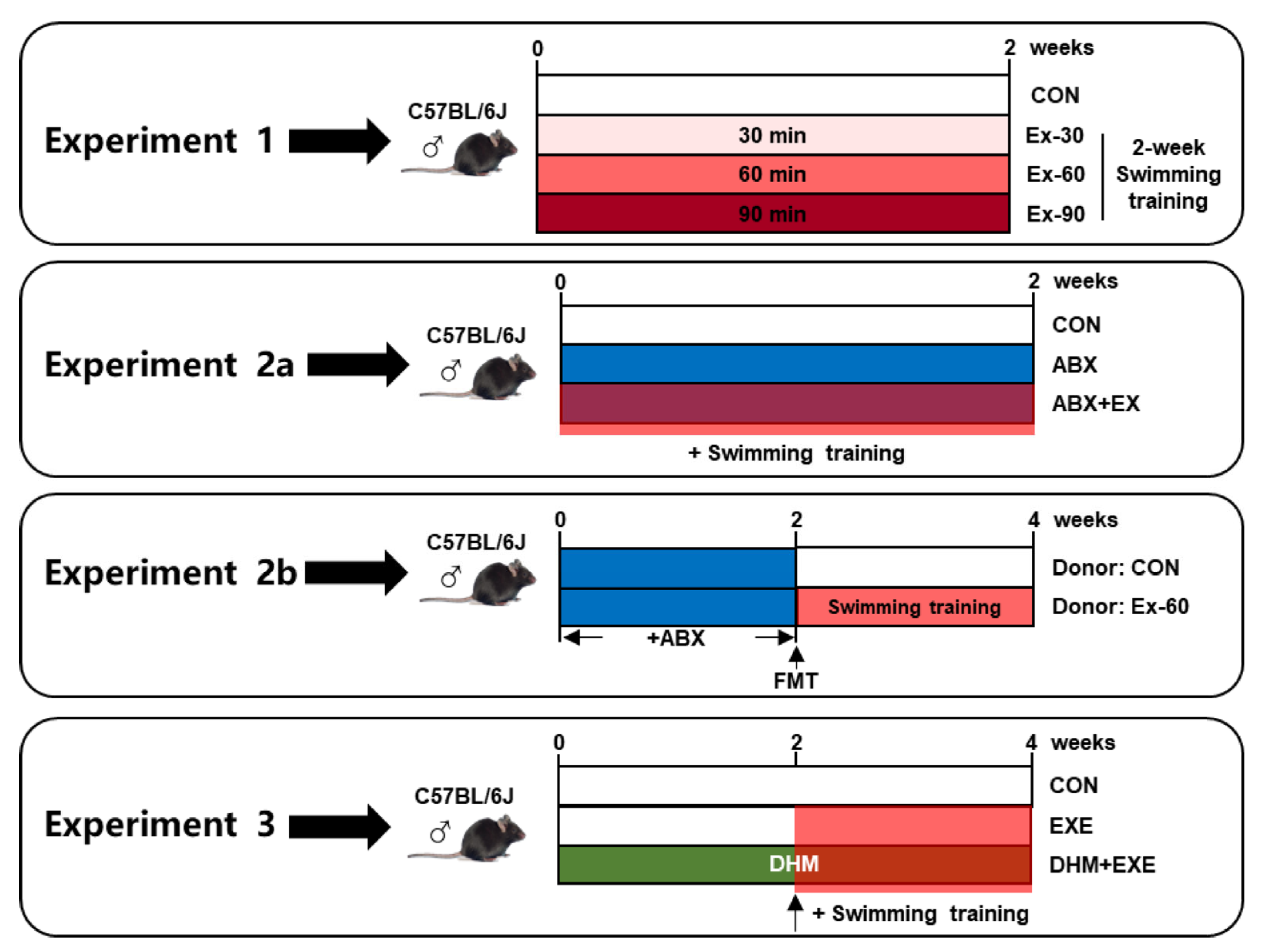 Nutrients 14 04583 g001