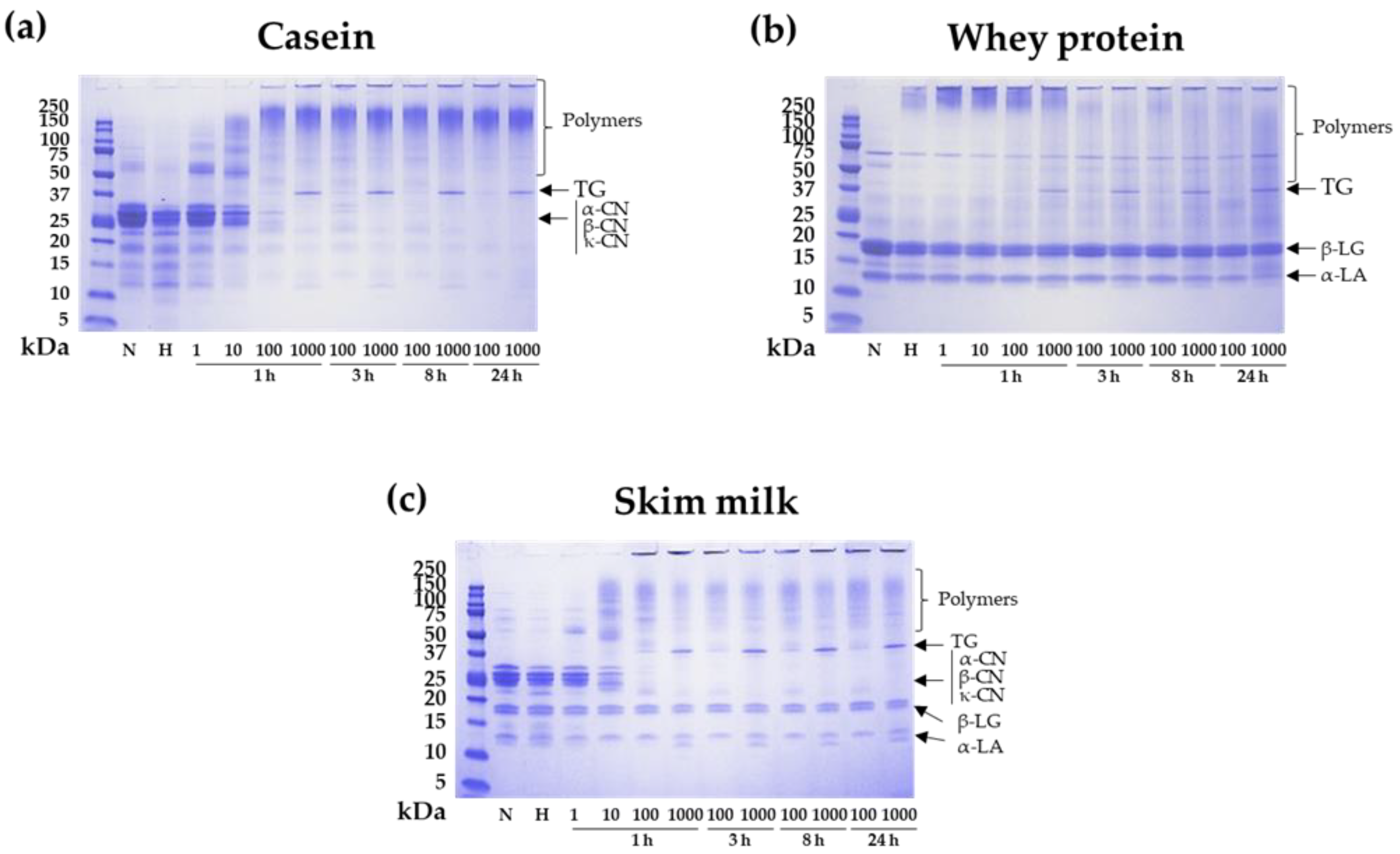 Nutrients 14 04584 g001 Nutrients 14 04584 g001