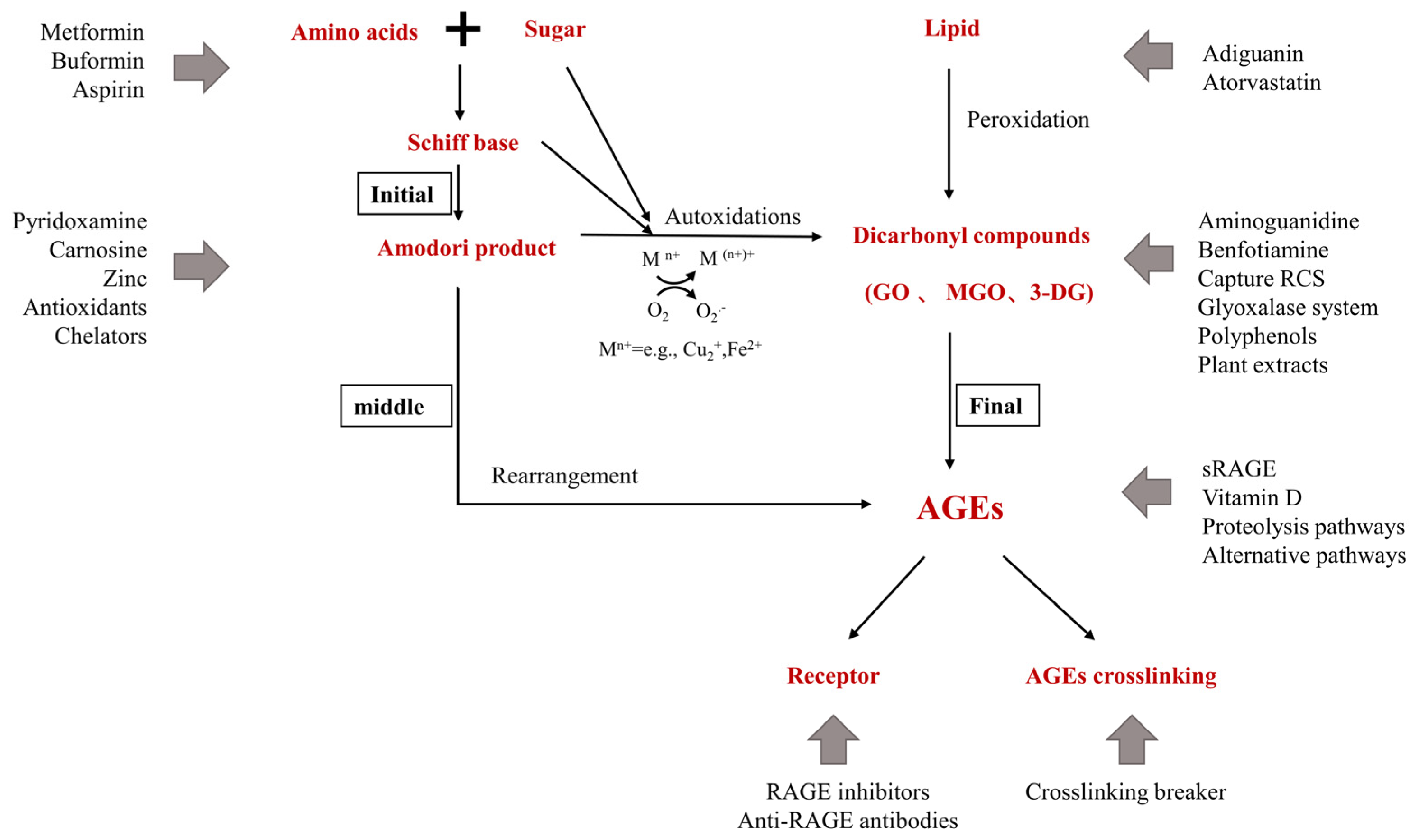 Nutrients 14 04588 g004 550