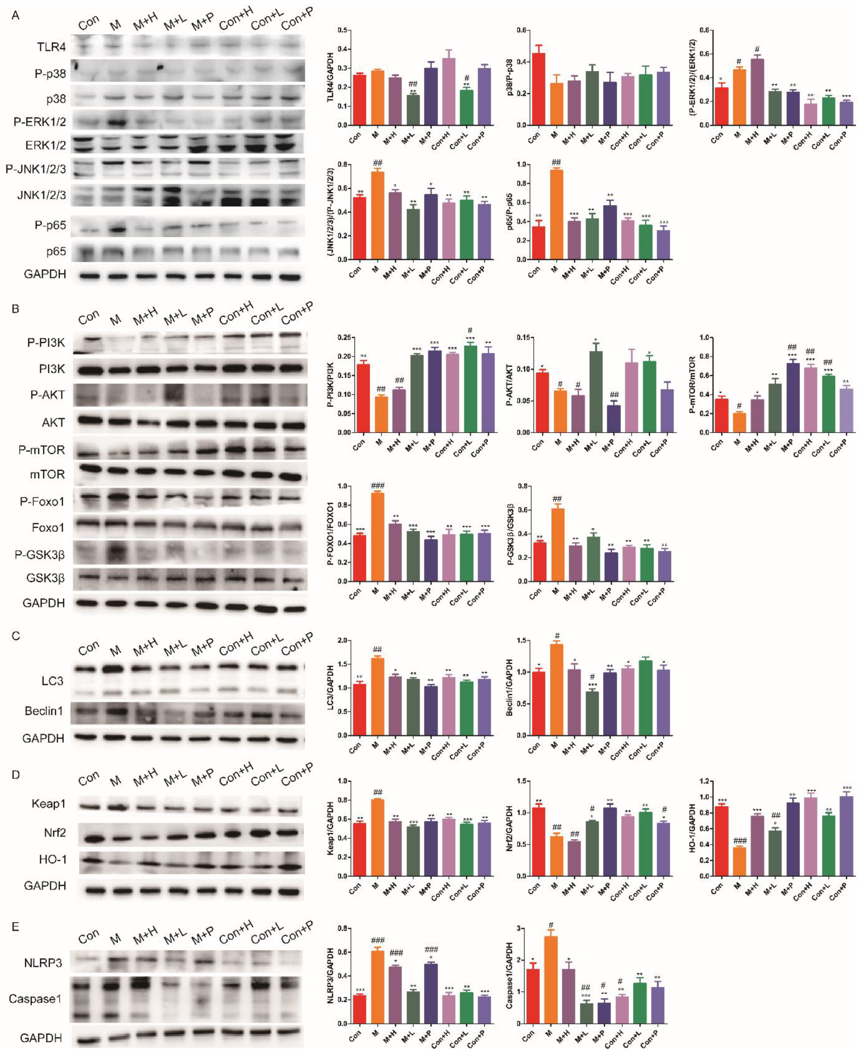Nutrients 14 04620 g005