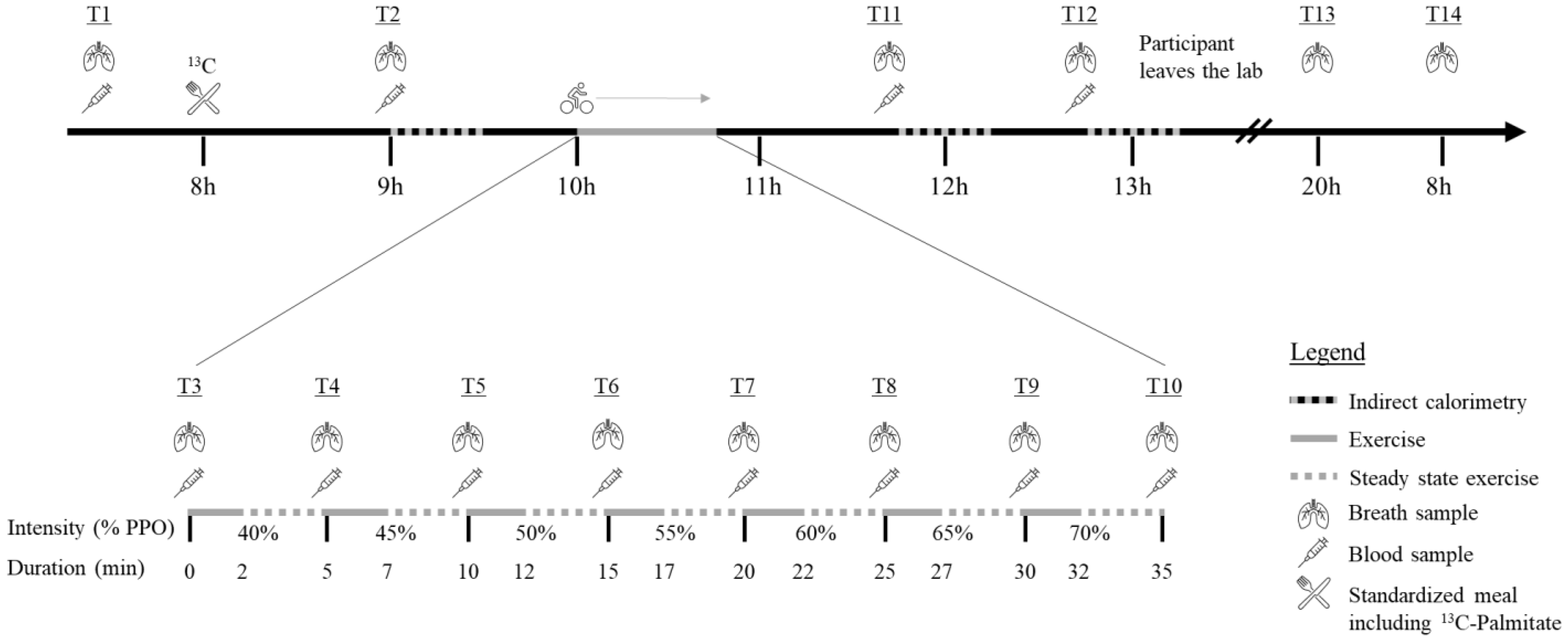Nutrients 14 04638 g001