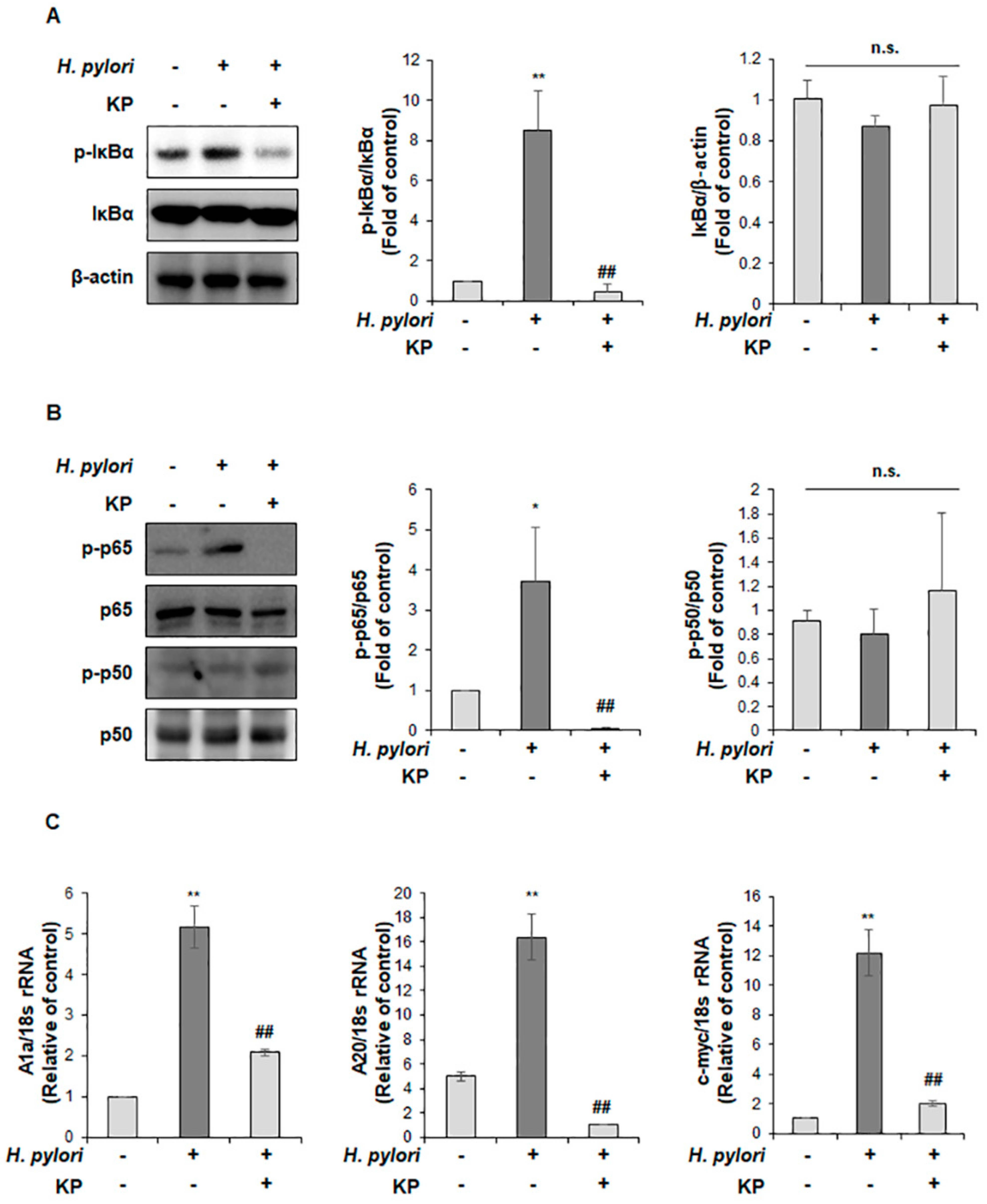 Nutrients 14 04644 g004