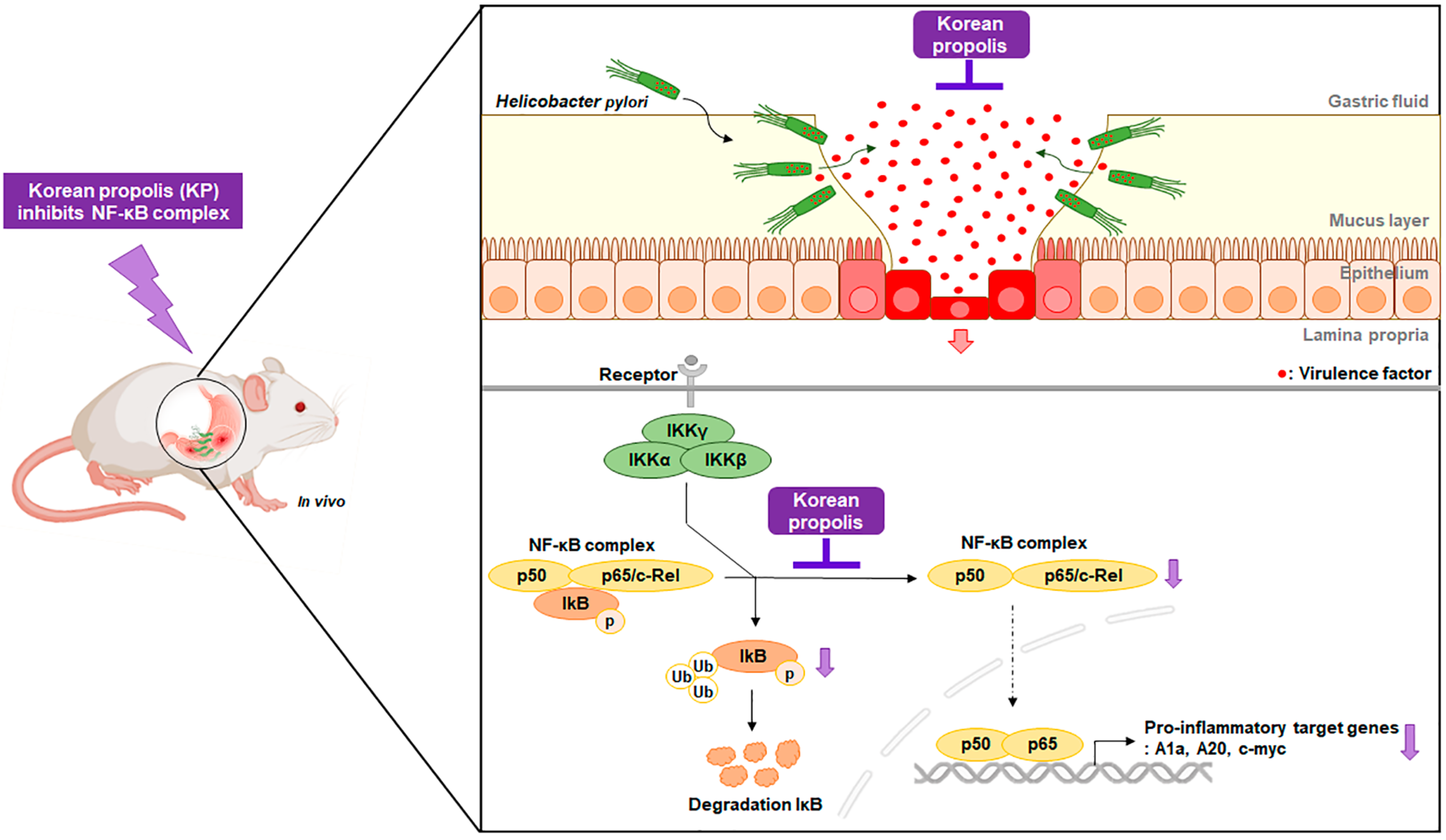 Nutrients 14 04644 g005