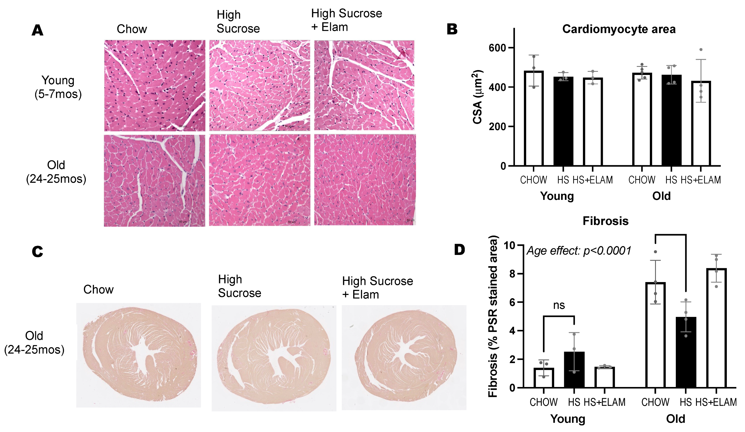 Nutrients 14 04645 g006