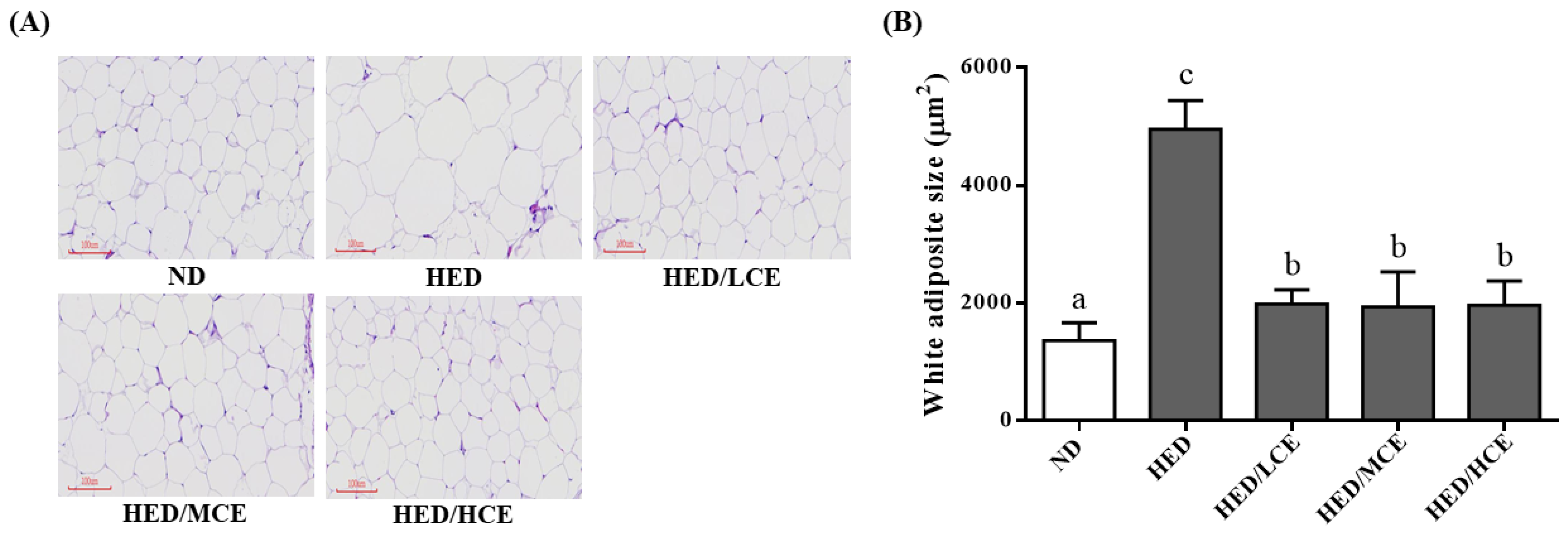 Nutrients 14 04665 g005 Nutrients 14 04665 g005