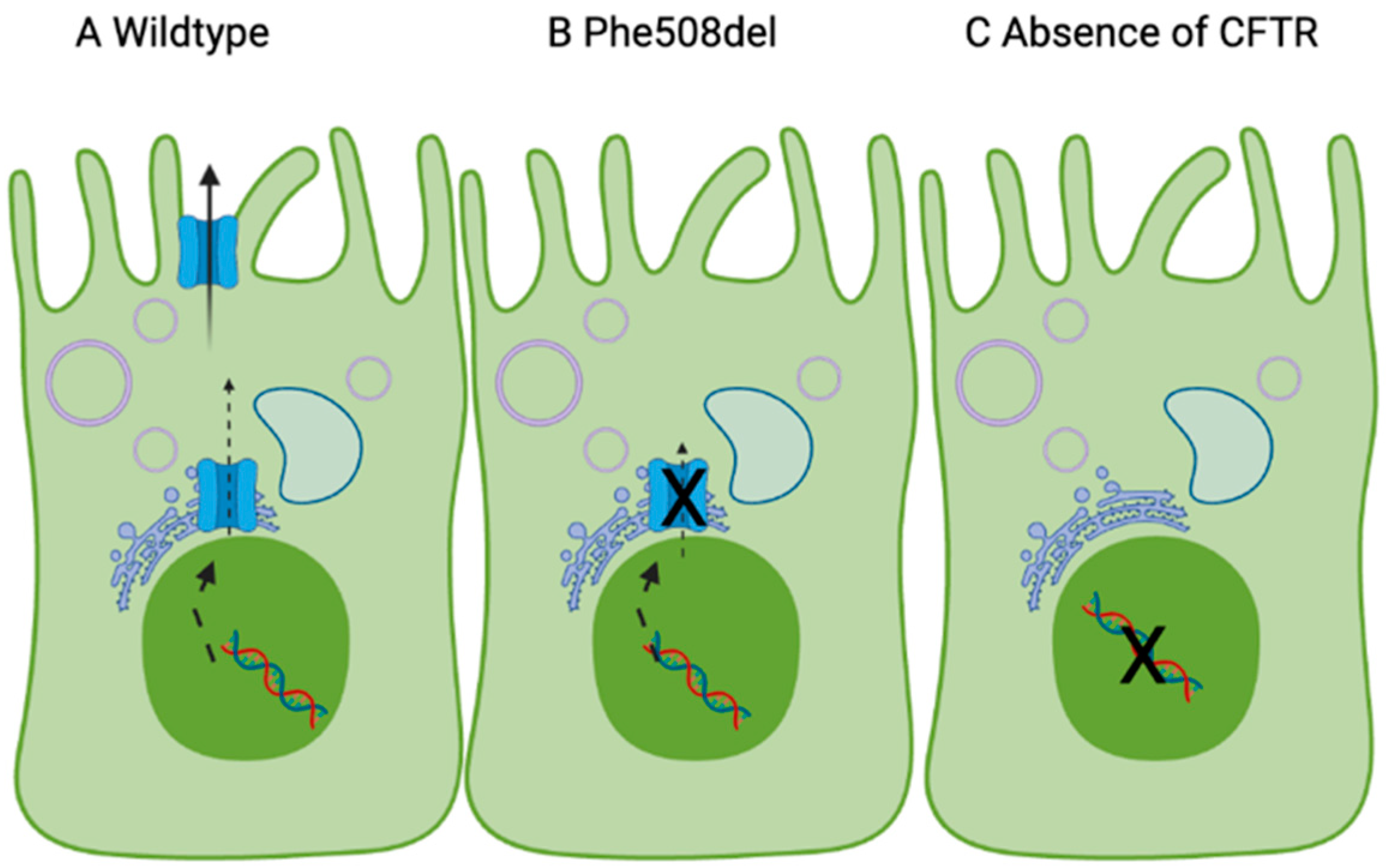 Nutrients 14 04666 g001 Nutrients 14 04666 g001