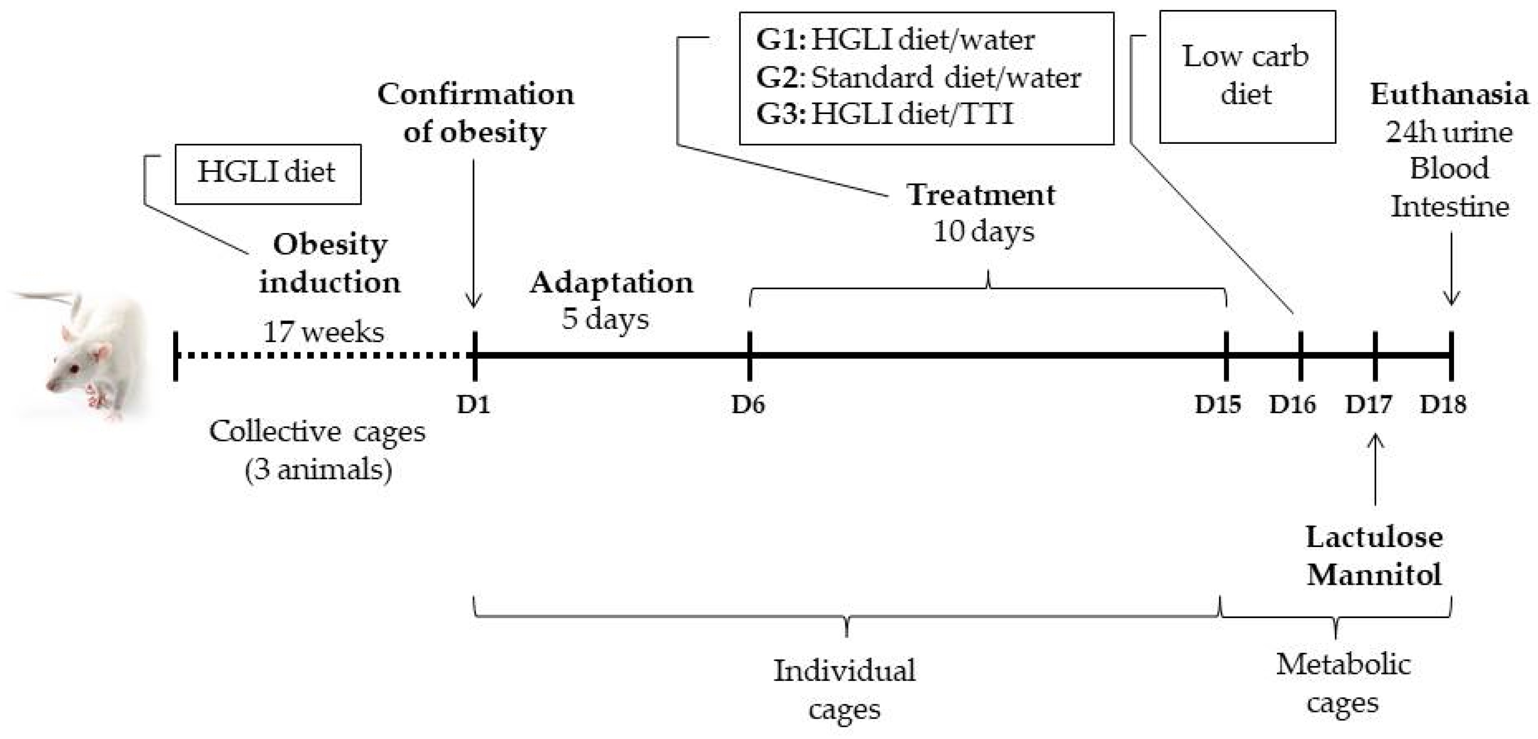 Nutrients 14 04669 g001 Nutrients 14 04669 g001