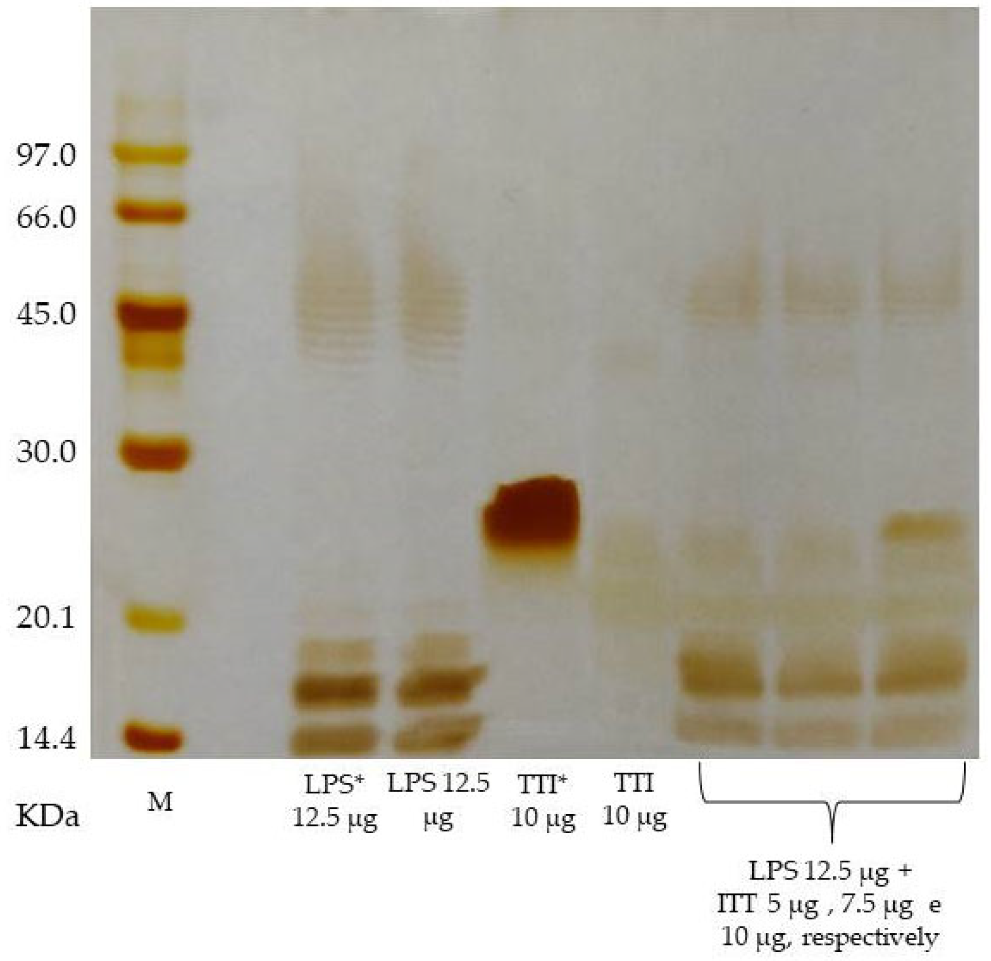 Nutrients 14 04669 g003 Nutrients 14 04669 g003