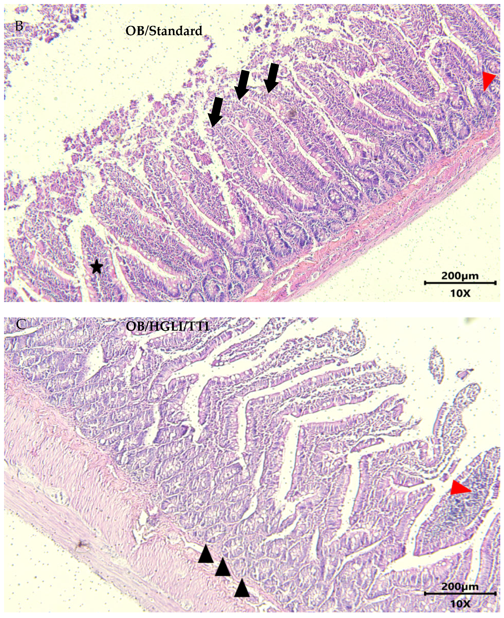Nutrients 14 04669 g010b Nutrients 14 04669 g010b