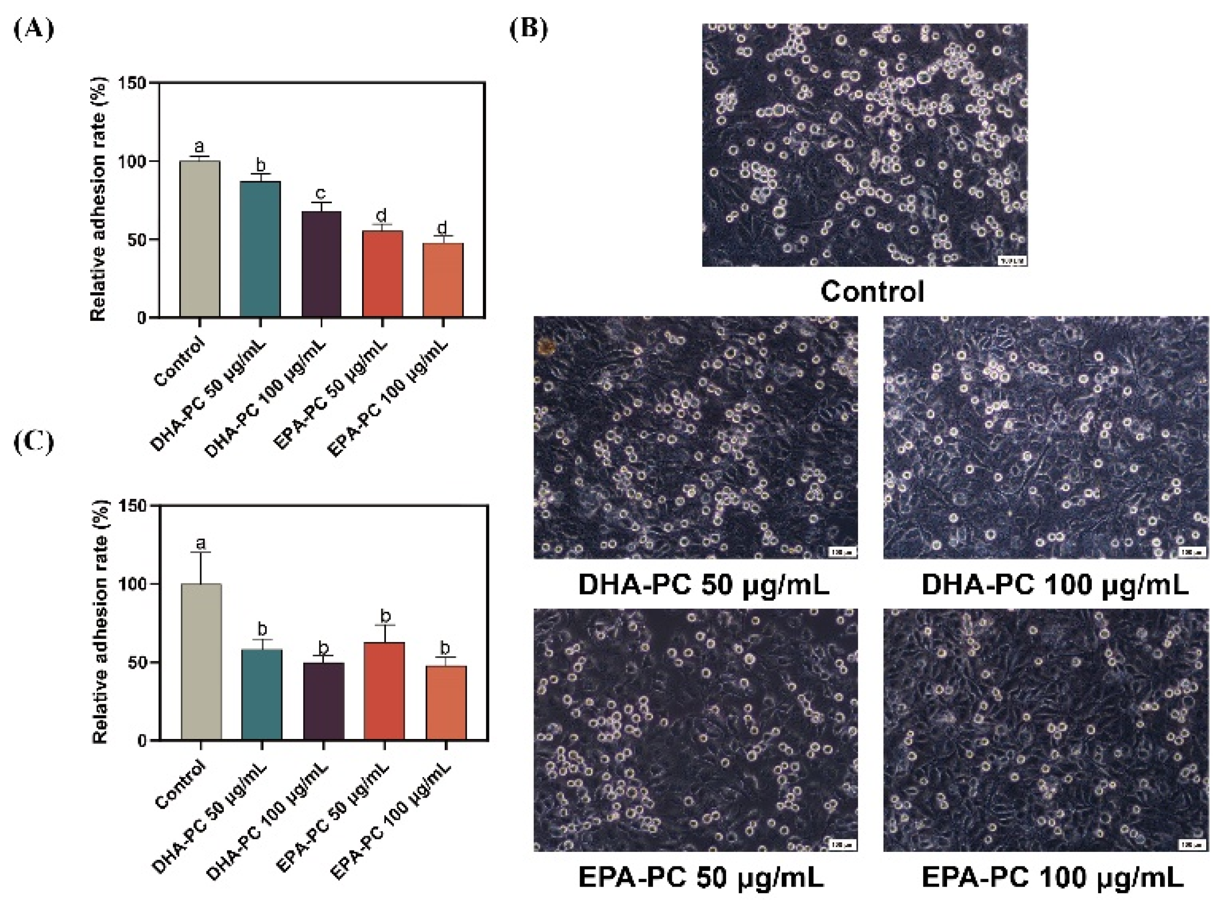 Nutrients 14 04675 g002