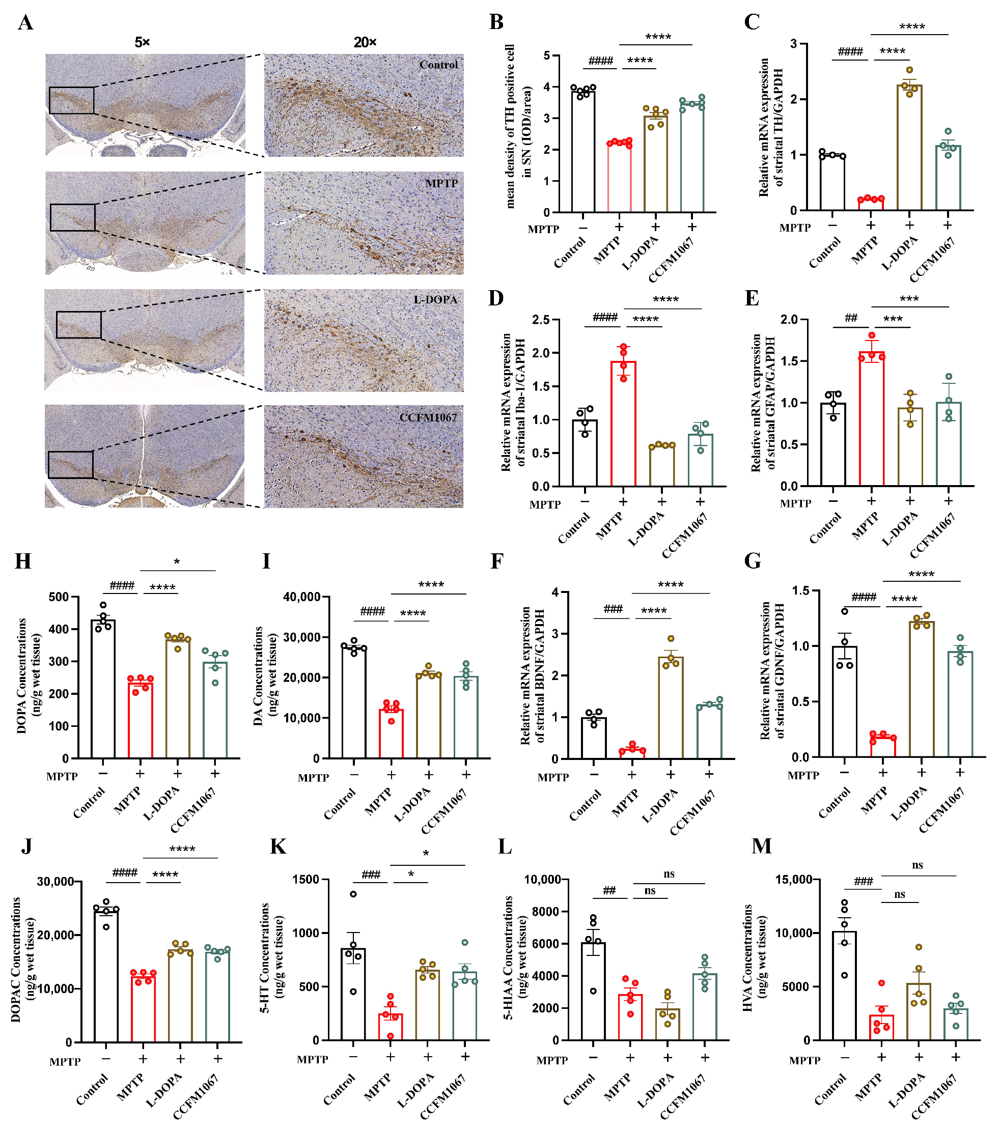 Nutrients 14 04678 g002 Nutrients 14 04678 g002