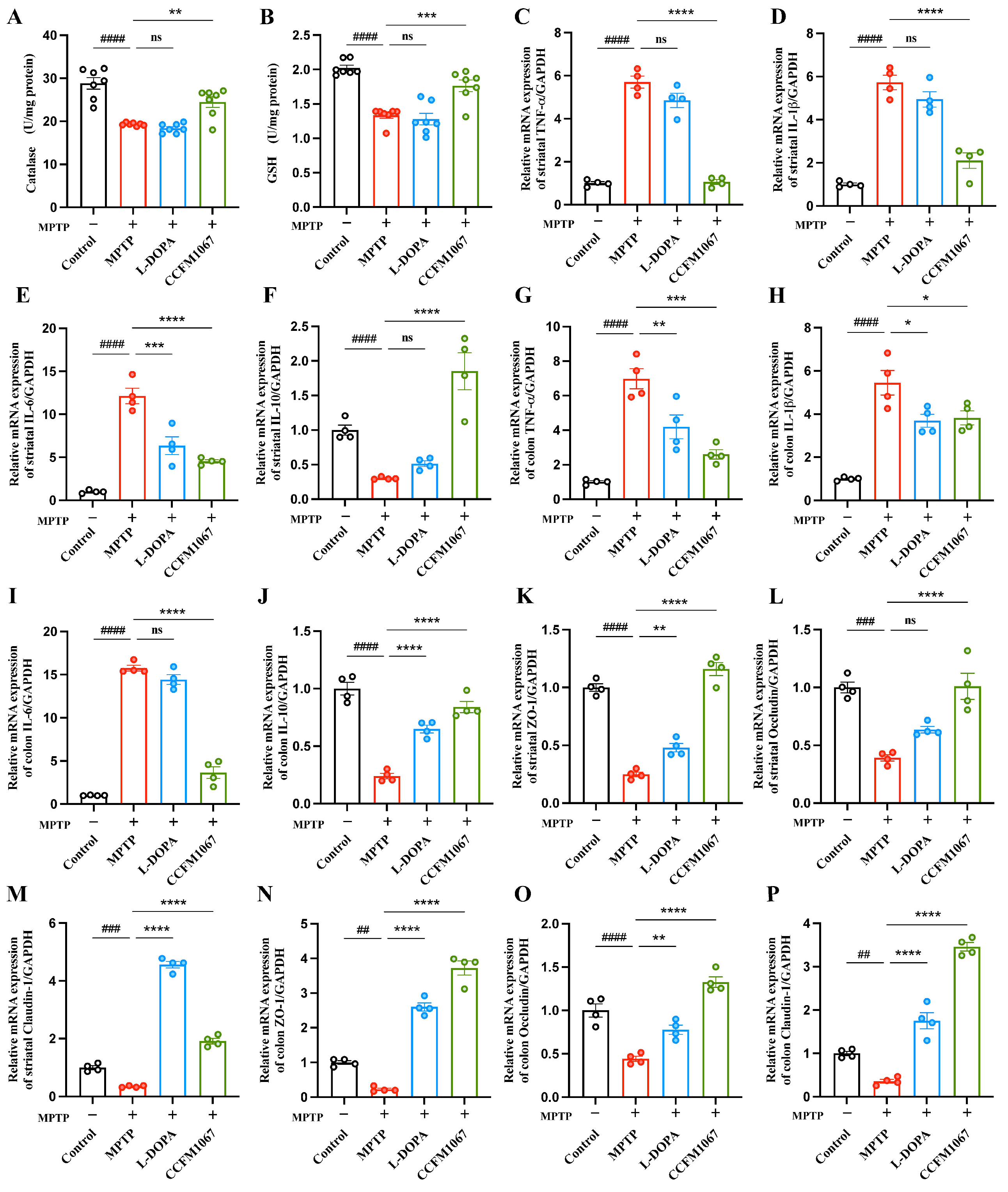 Nutrients 14 04678 g003 Nutrients 14 04678 g003