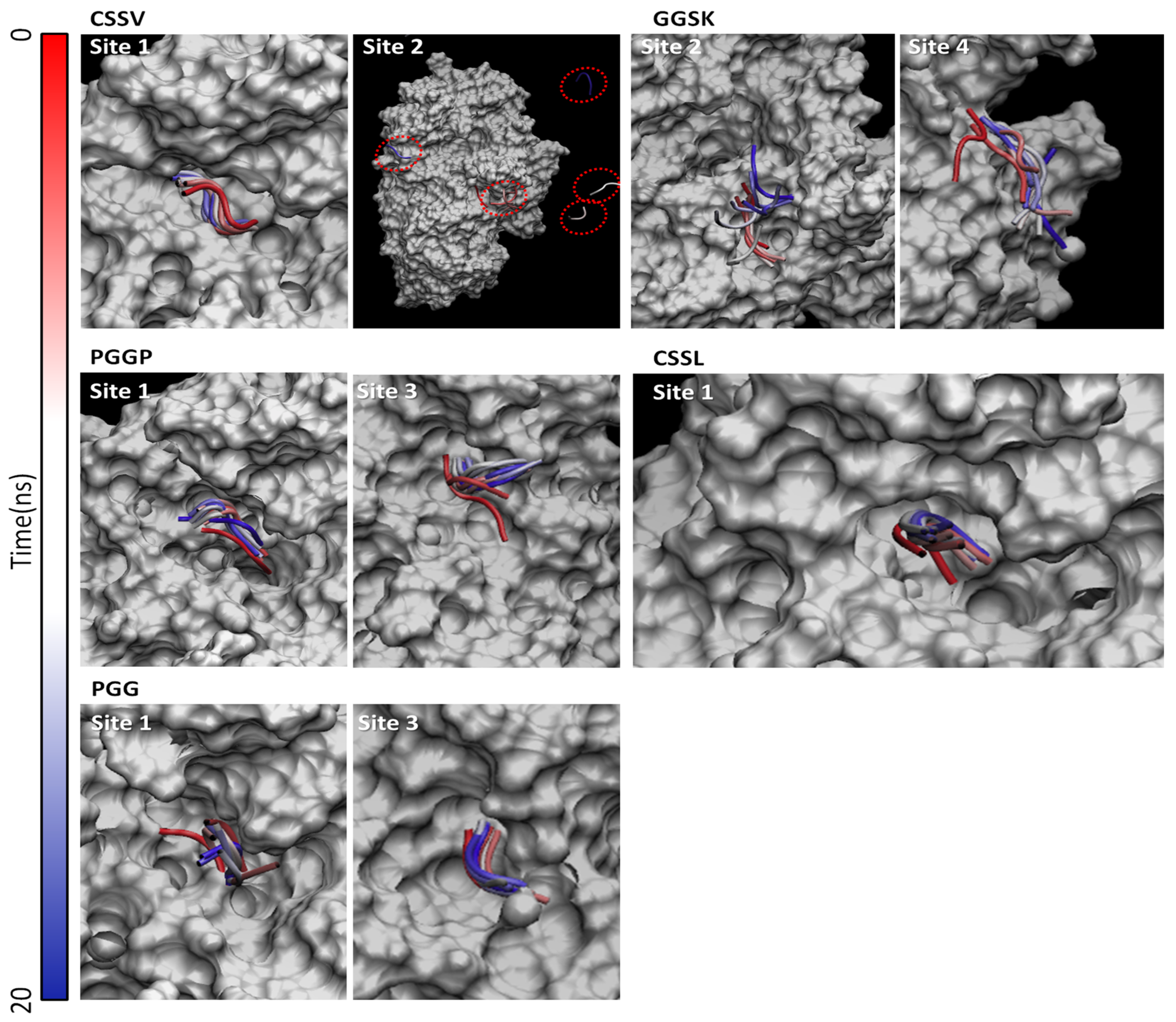Nutrients 14 04680 g002 Nutrients 14 04680 g002
