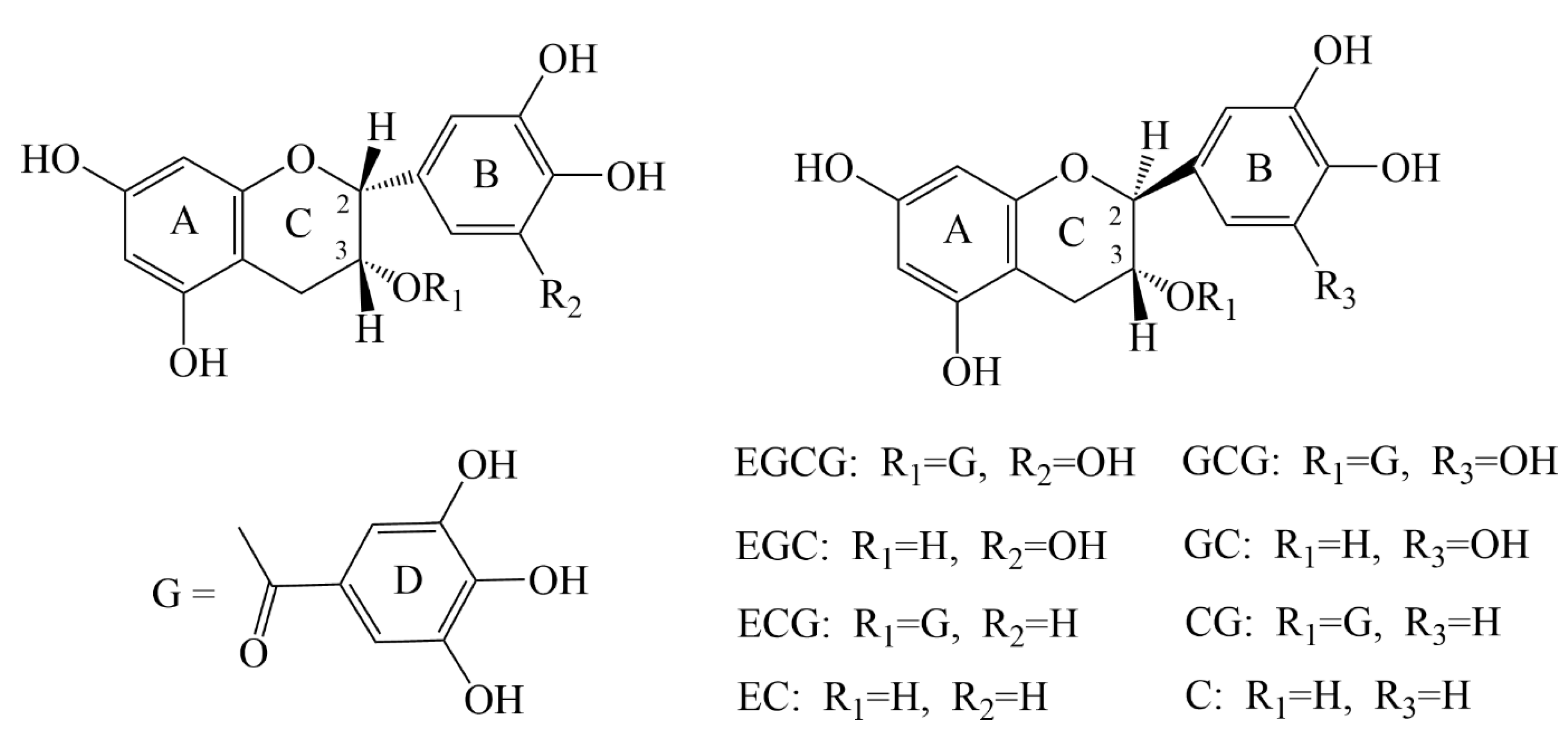 Nutrients | Free Full-Text | The Role of Catechins in Regulating 