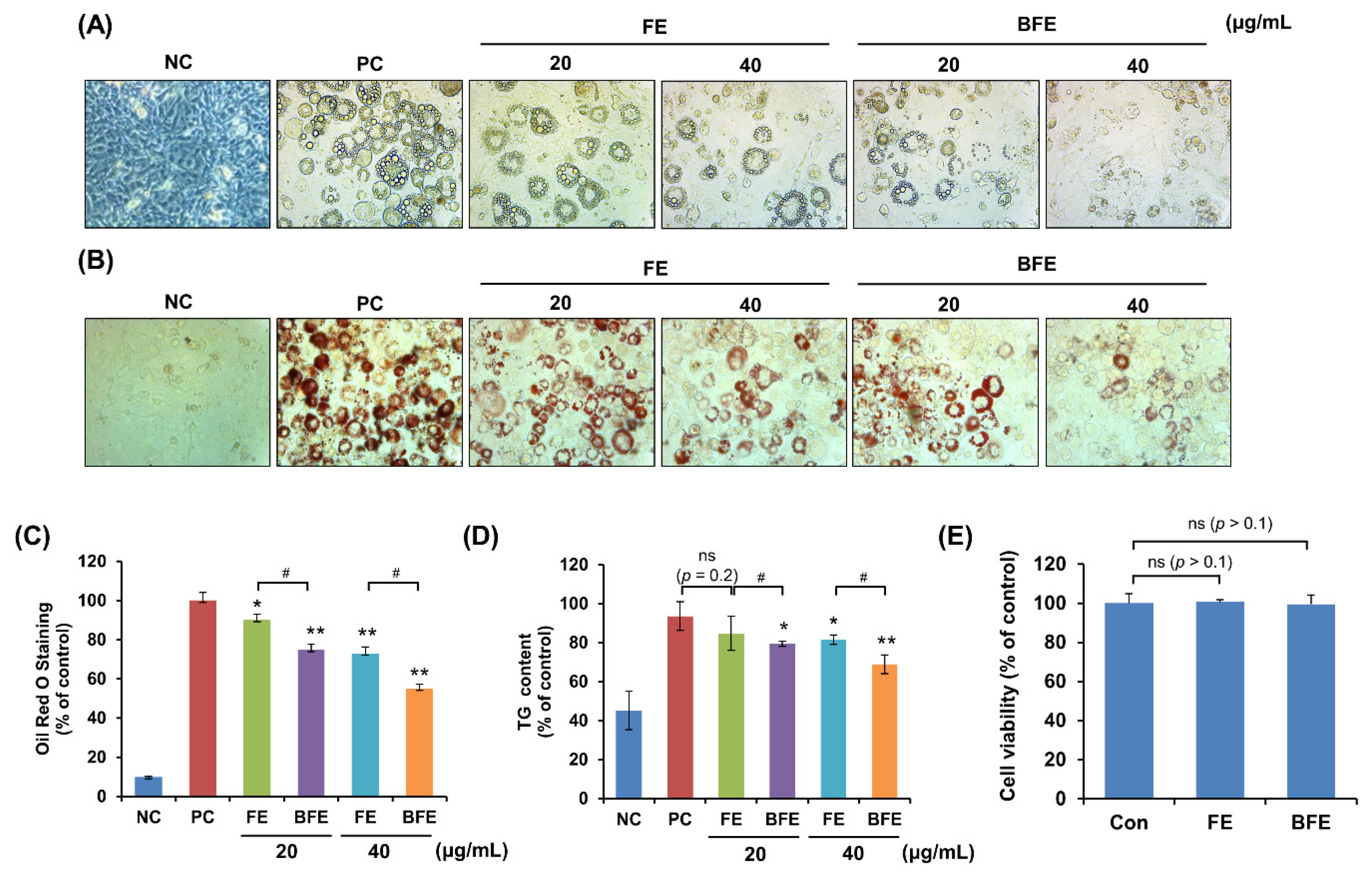 Nutrients 14 04683 g001 Nutrients 14 04683 g001