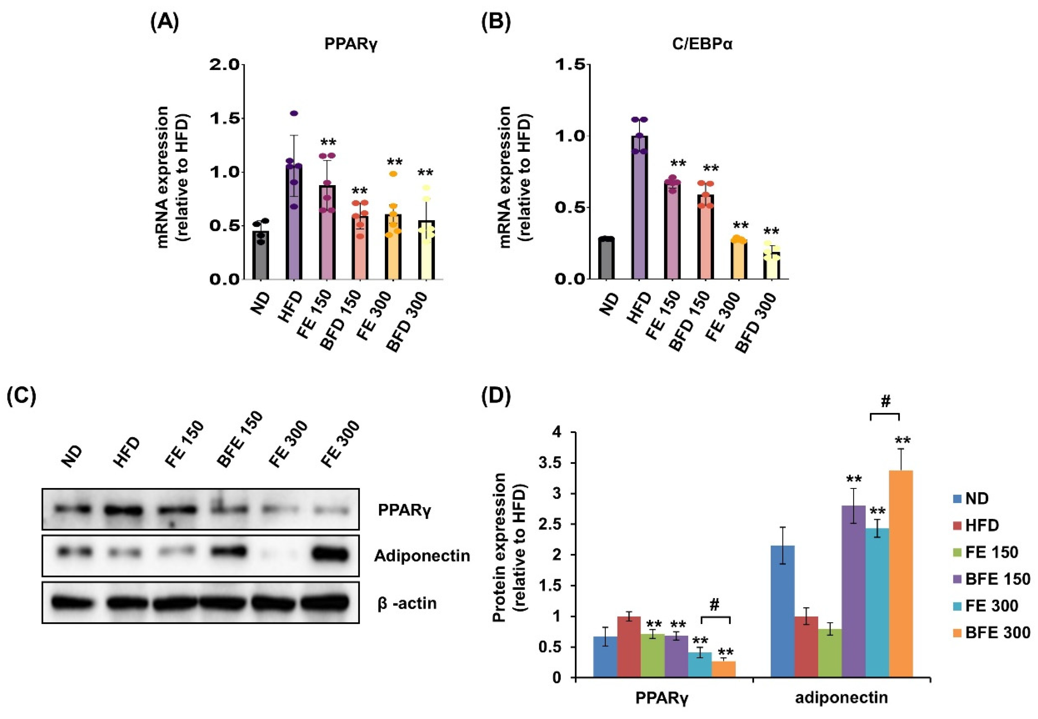 Nutrients 14 04683 g007 Nutrients 14 04683 g007