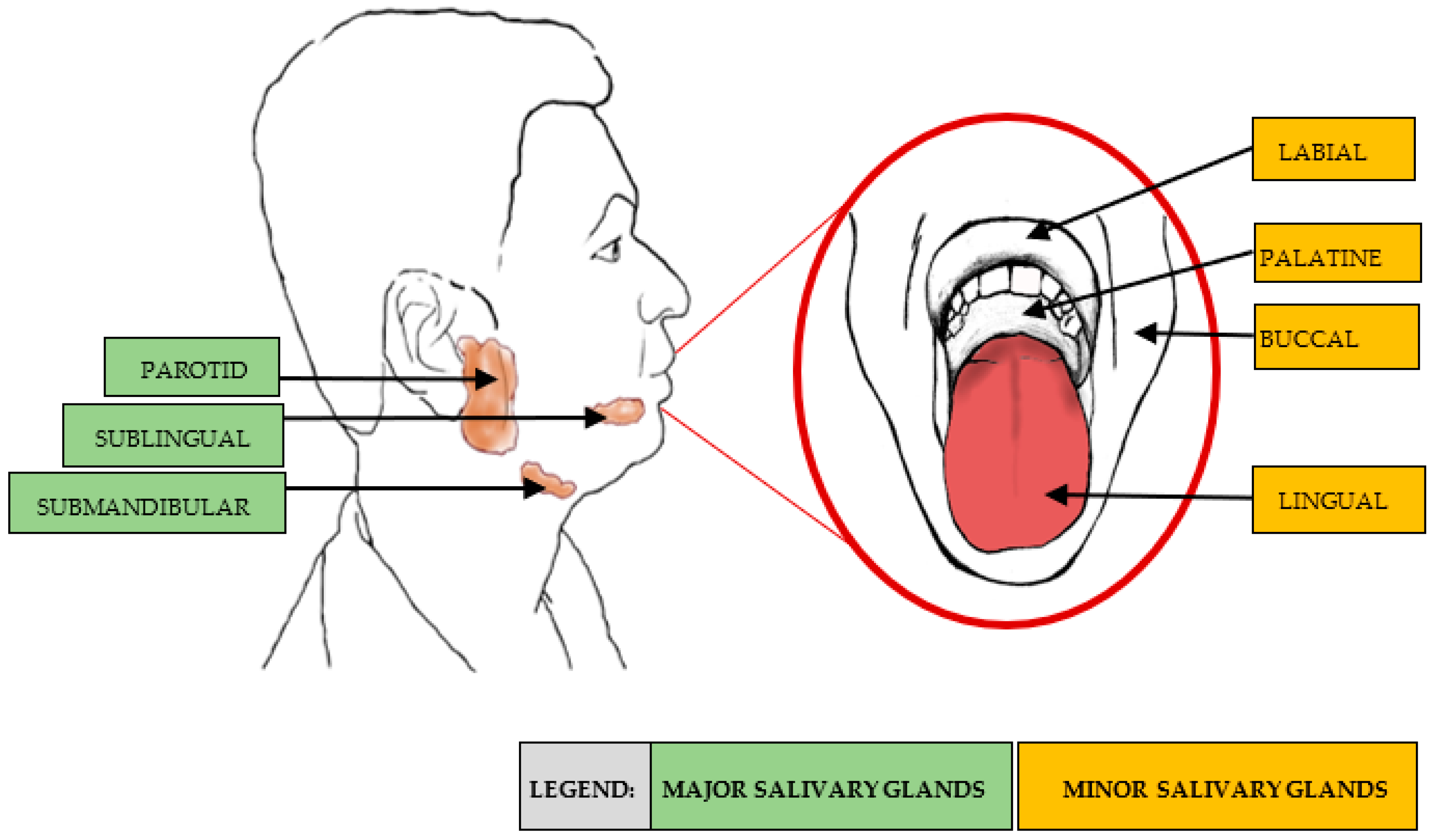 Nutrients 14 04685 g002