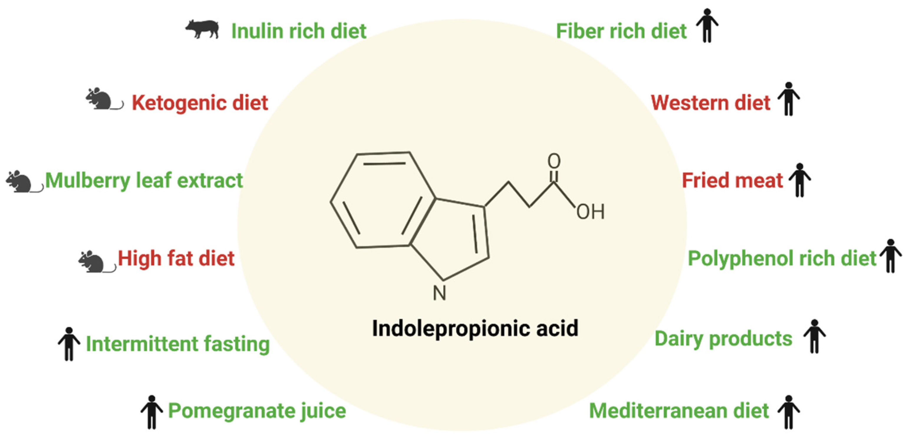 Nutrients 14 04695 g002 Nutrients 14 04695 g002