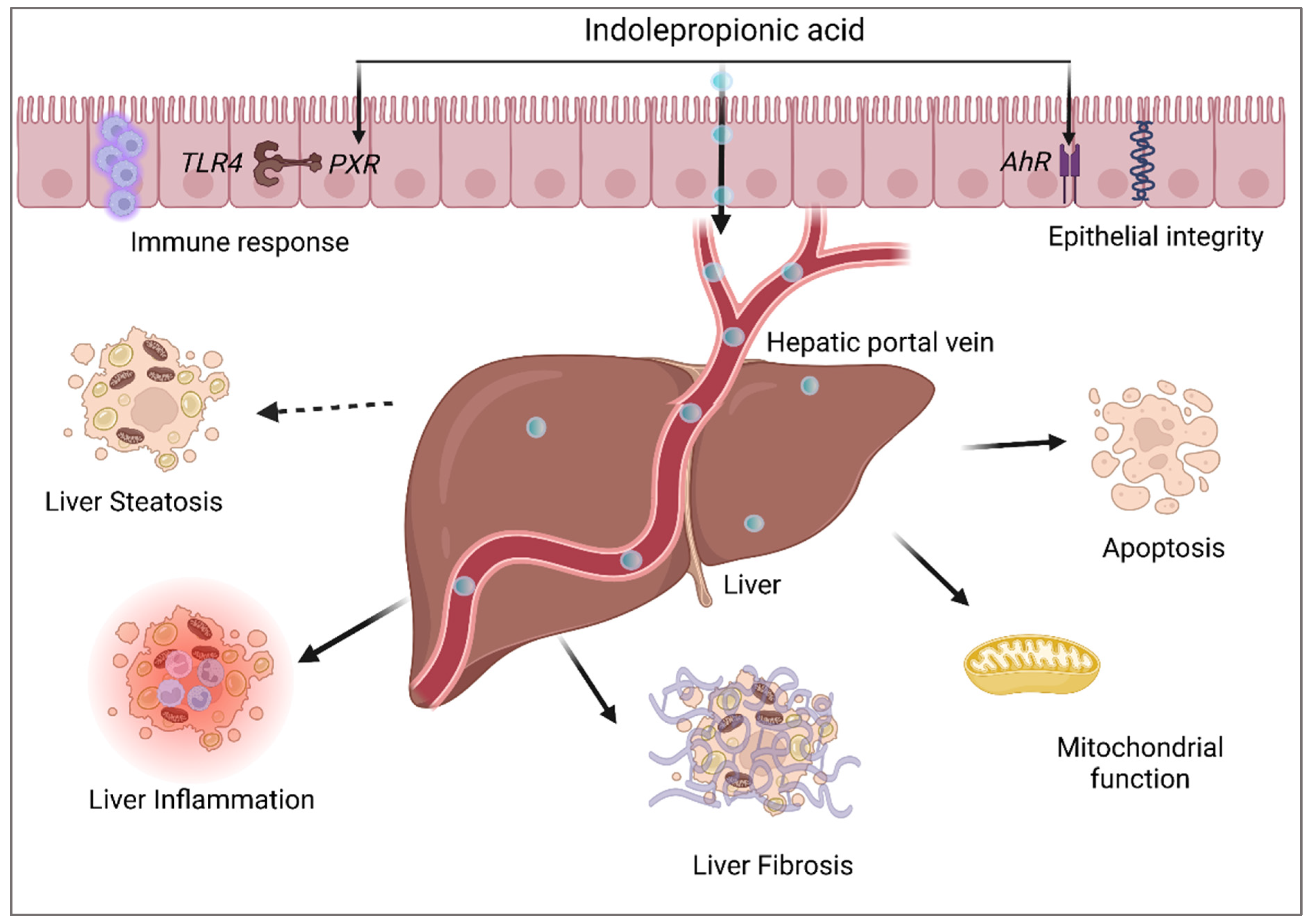 Nutrients 14 04695 g006 Nutrients 14 04695 g006