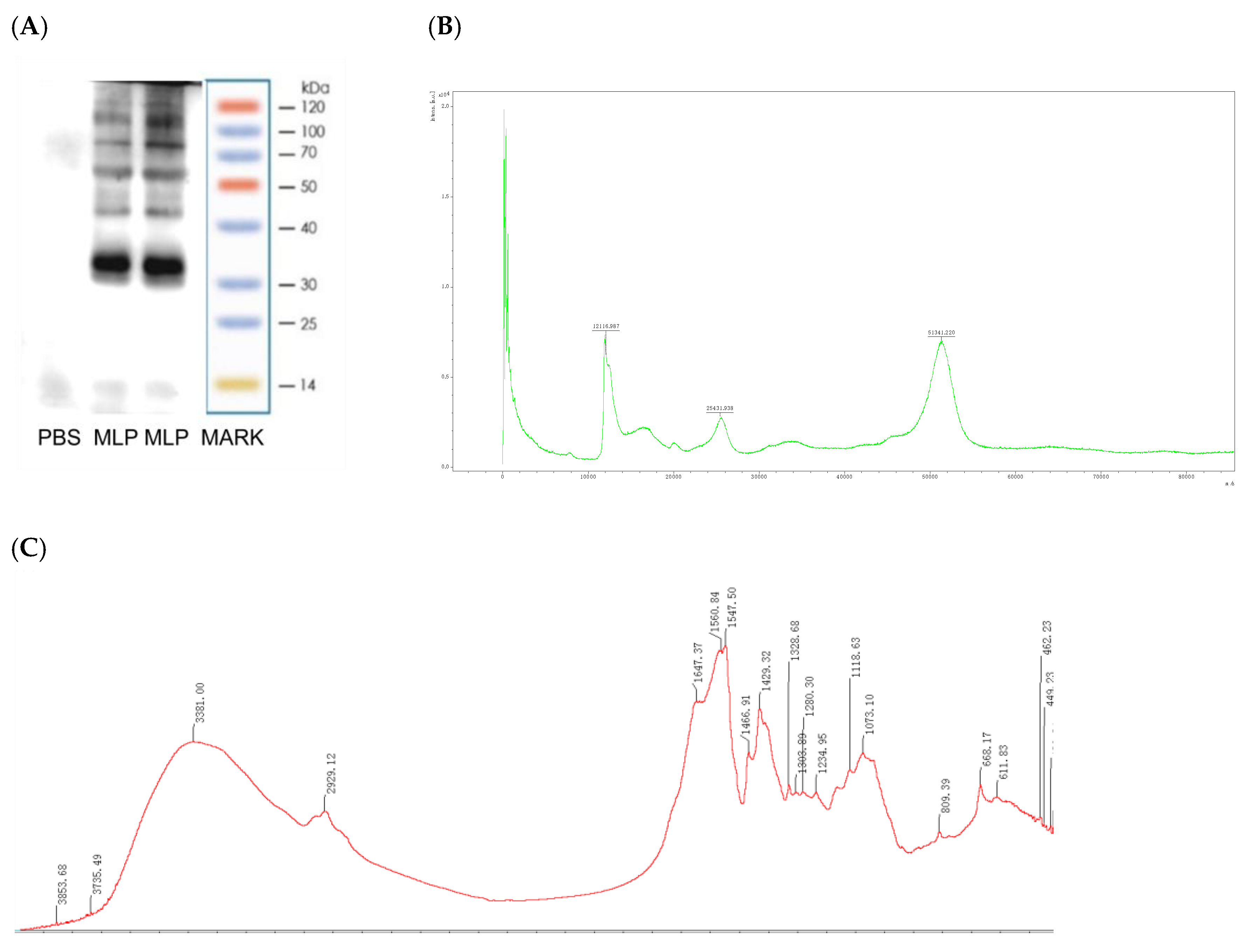 Nutrients 14 04700 g002