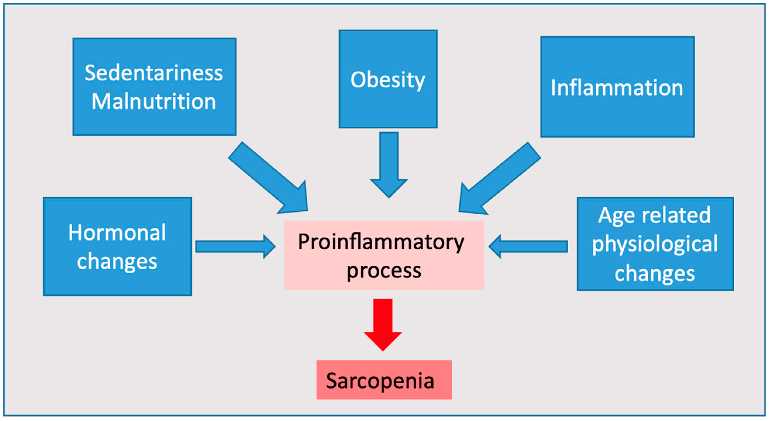 Nutrients 14 04701 g001 Nutrients 14 04701 g001