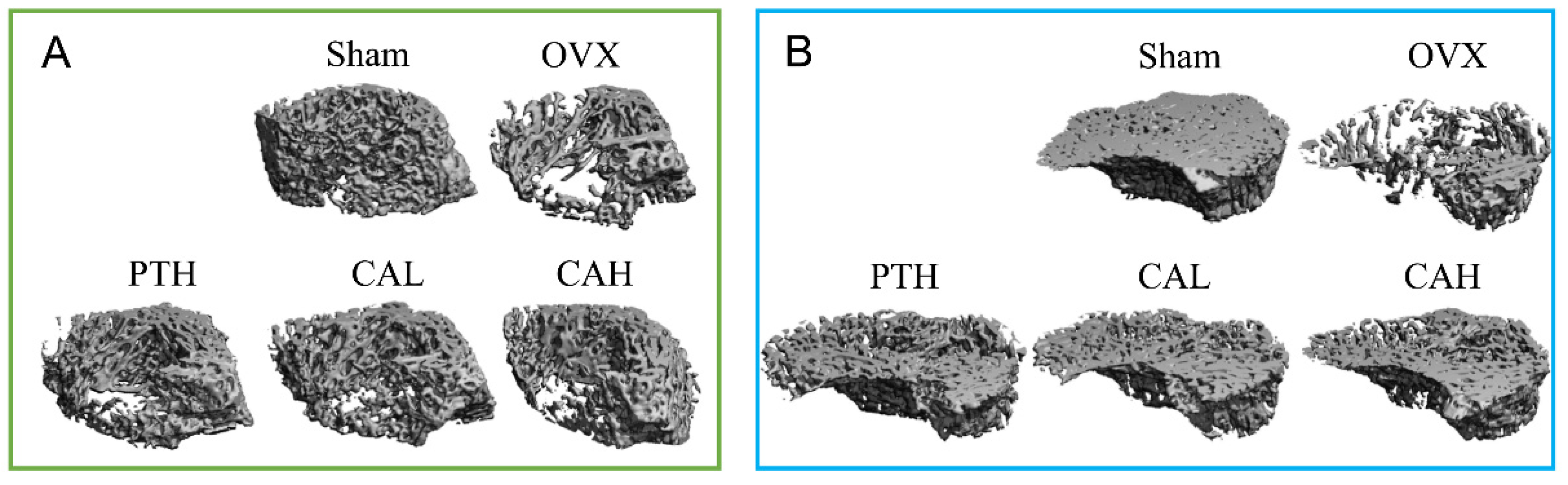 Nutrients 14 04718 g001 Nutrients 14 04718 g001